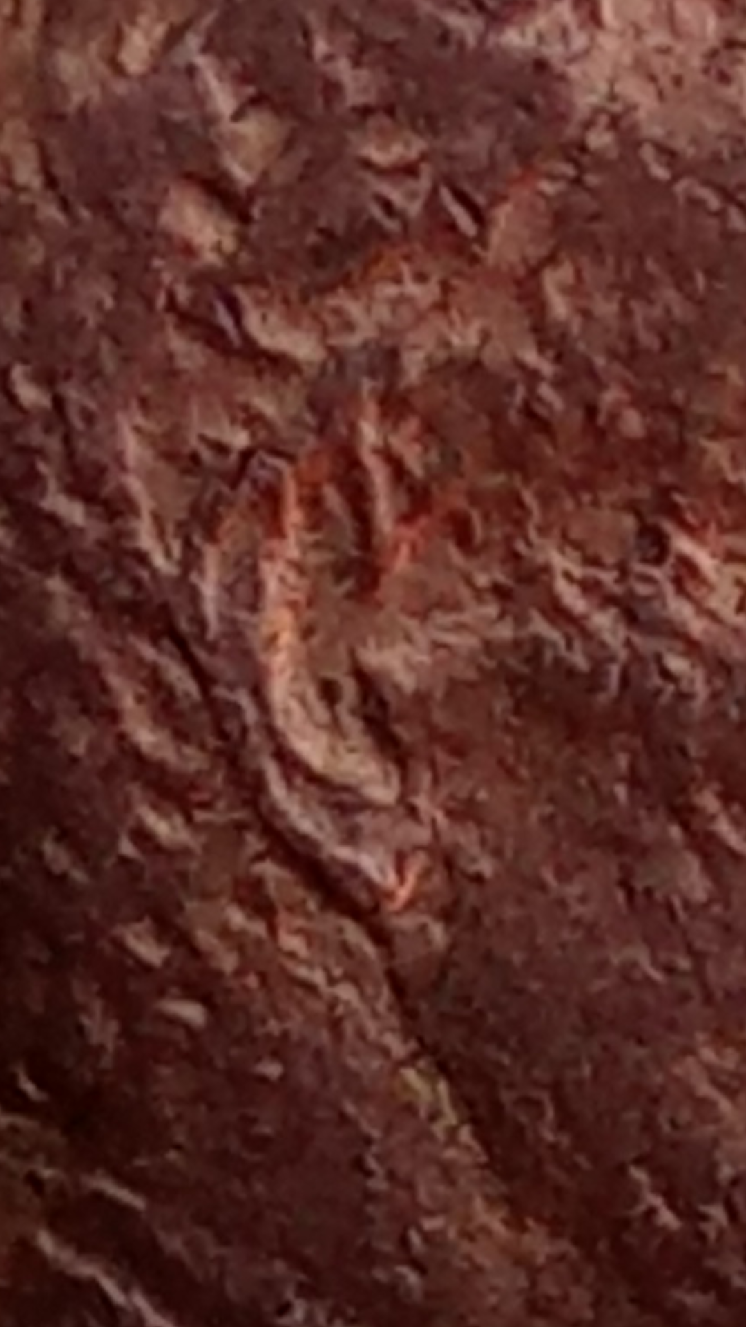 Screenshot_20200403-020621.png