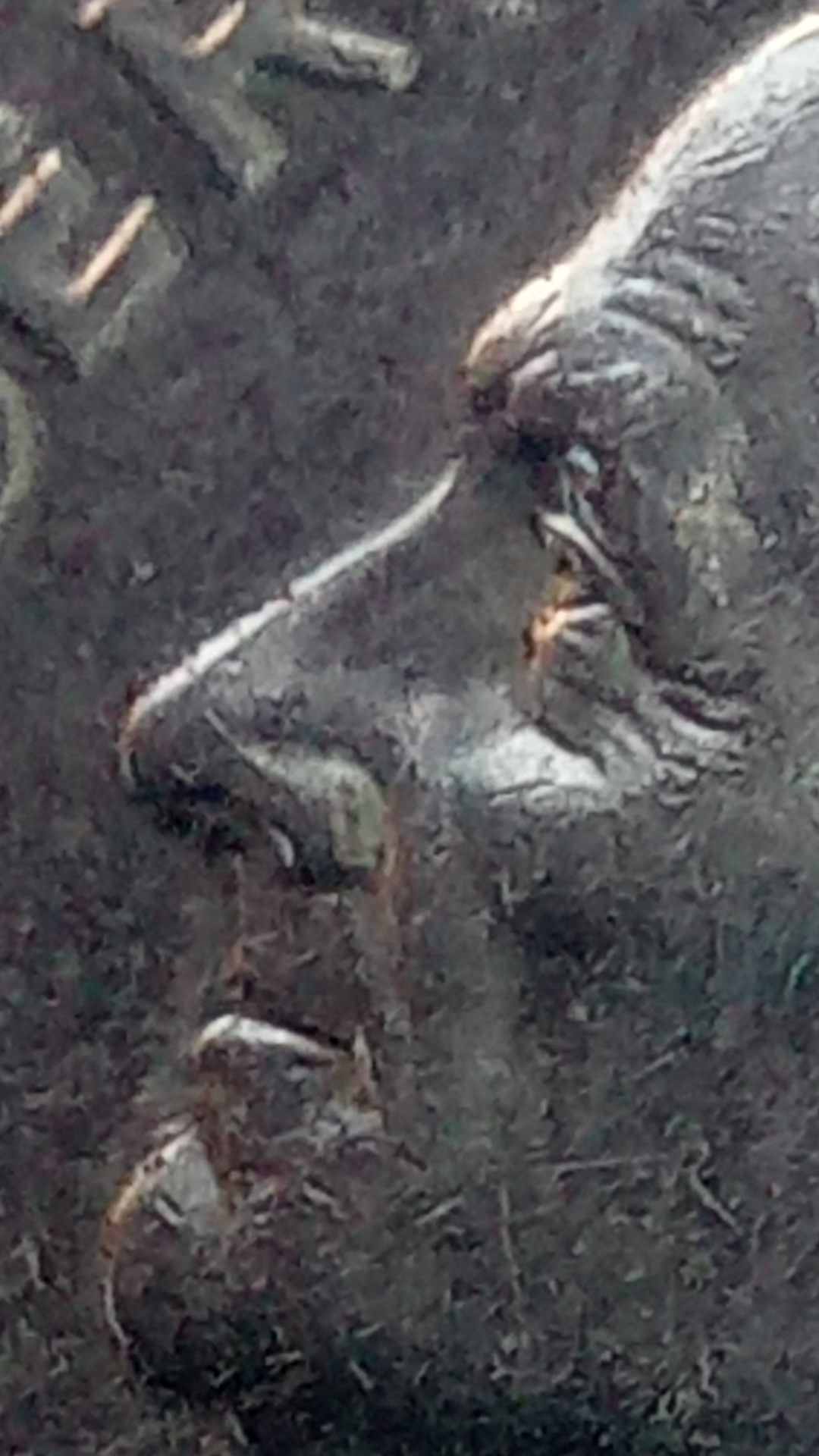 Screenshot_20200404-172306.png