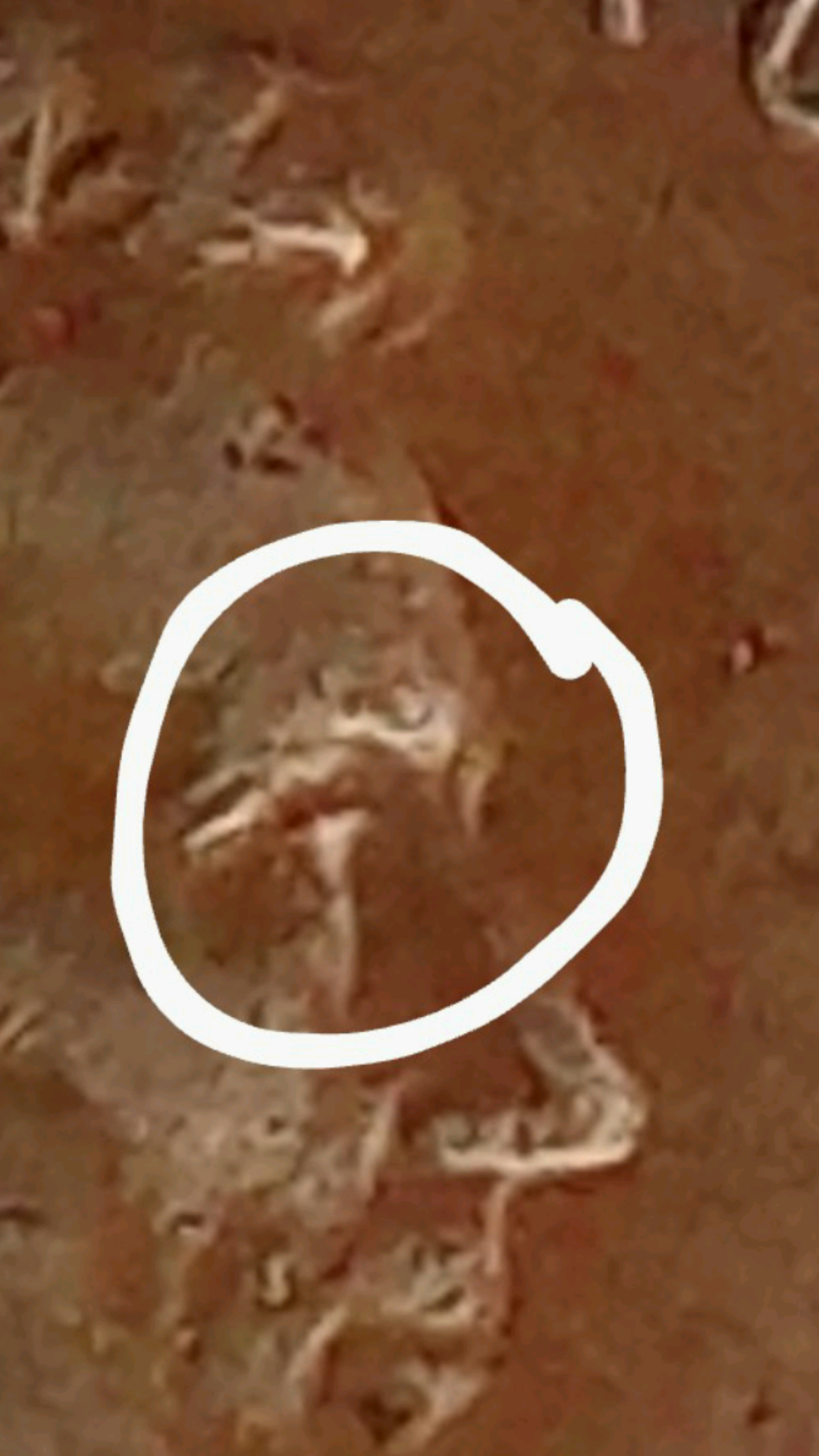 Screenshot_20200423-005808.png