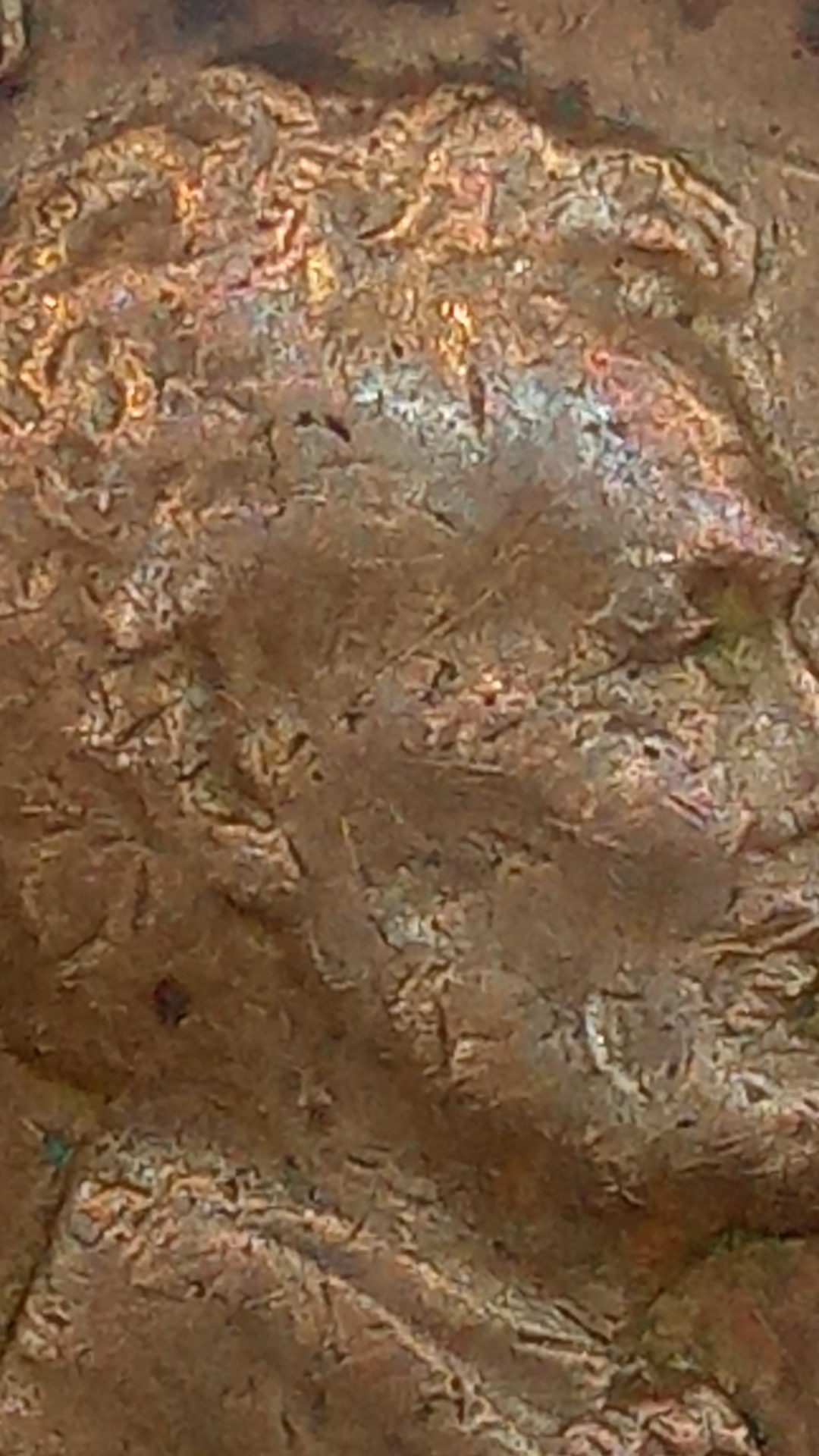 Screenshot_20200511-010515.png