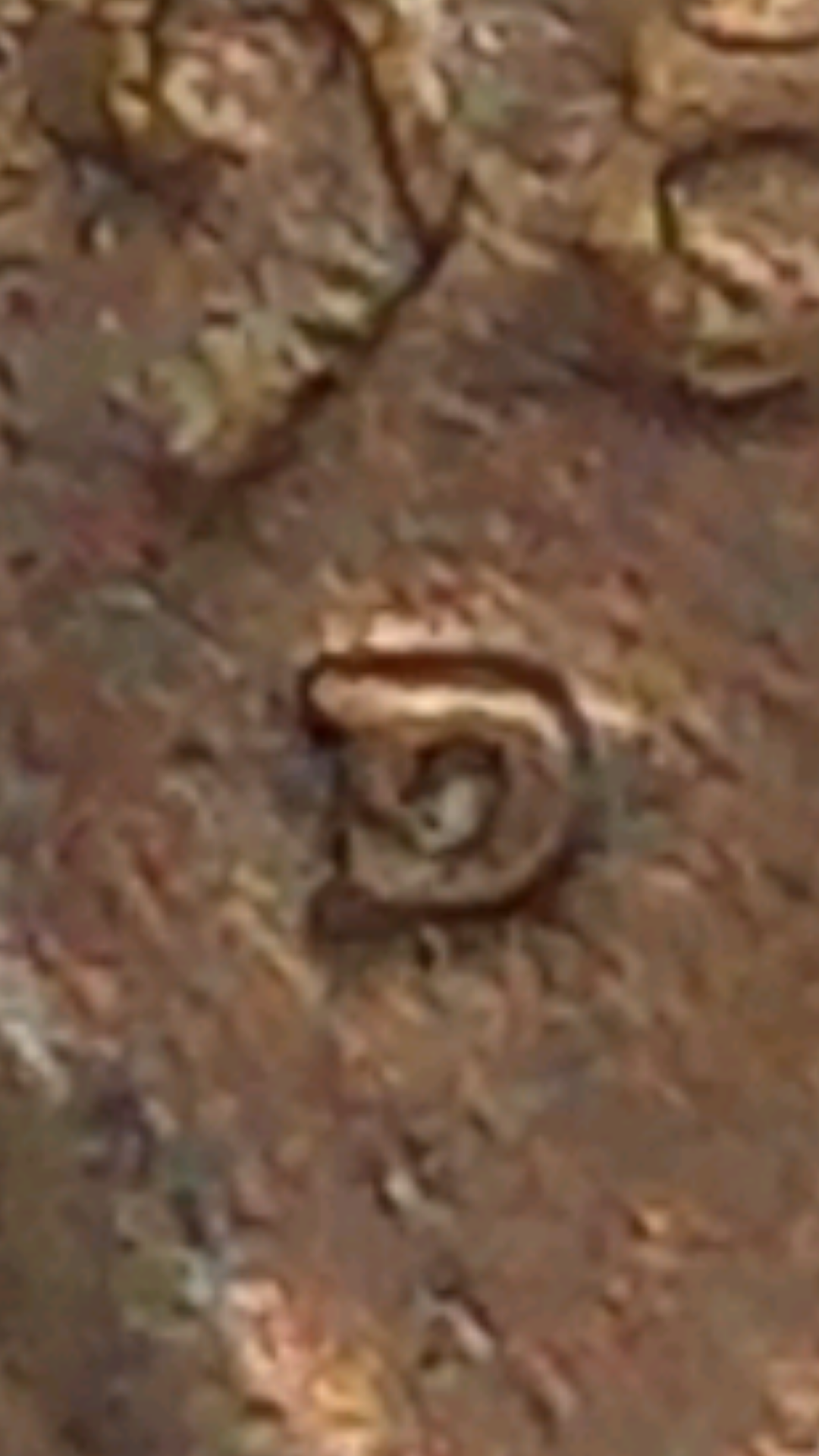 Screenshot_20200511-014210.png