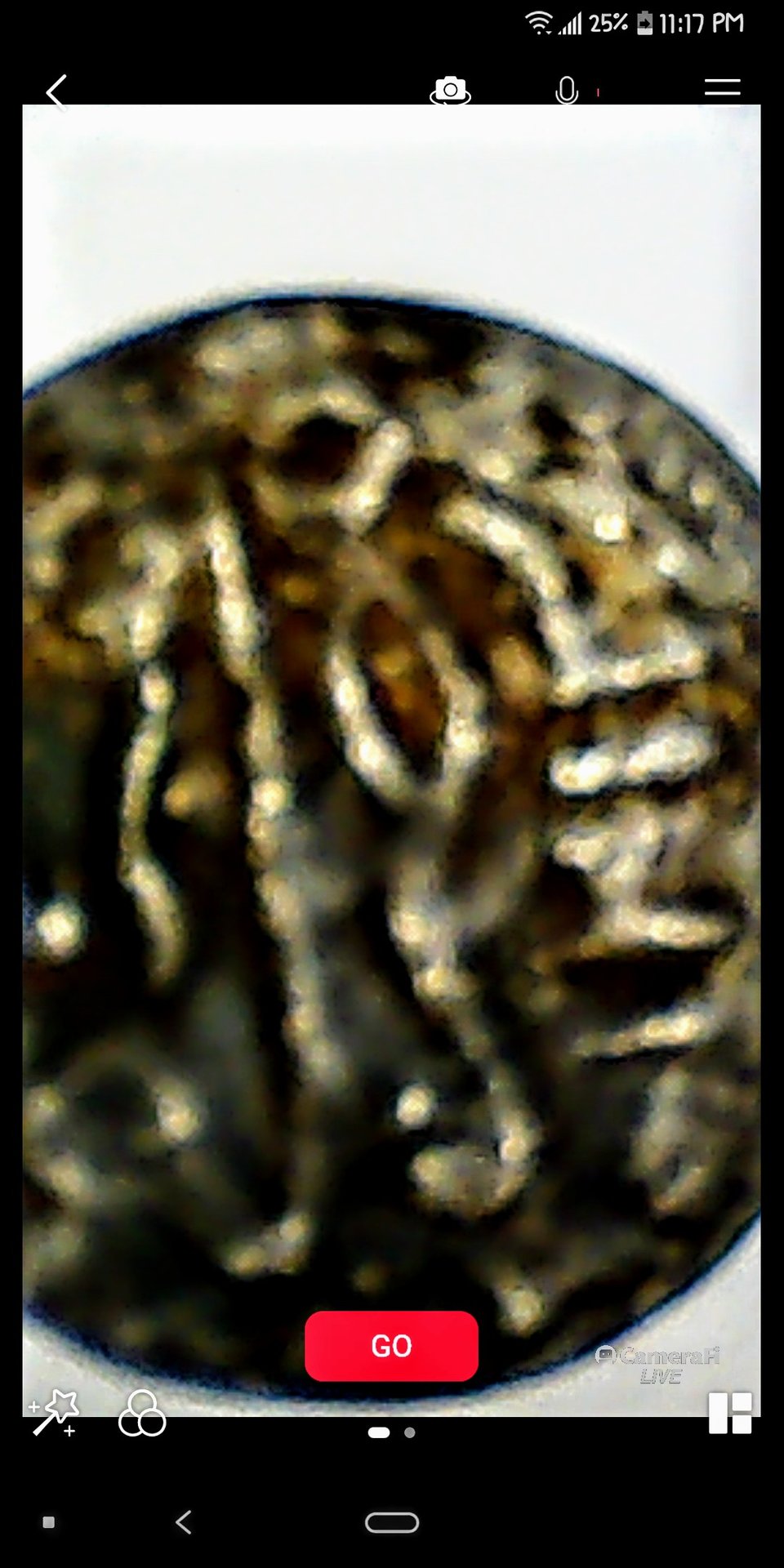 Screenshot_20201219-231716.jpg