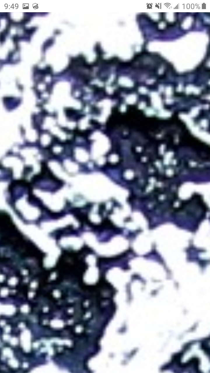 Screenshot_20201231-094904_Chrome.jpg