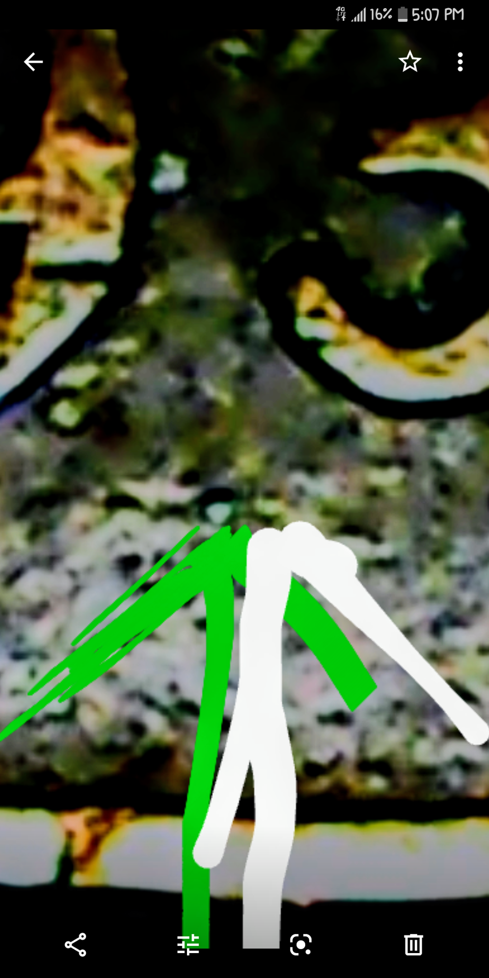 Screenshot_20210115-170704.png