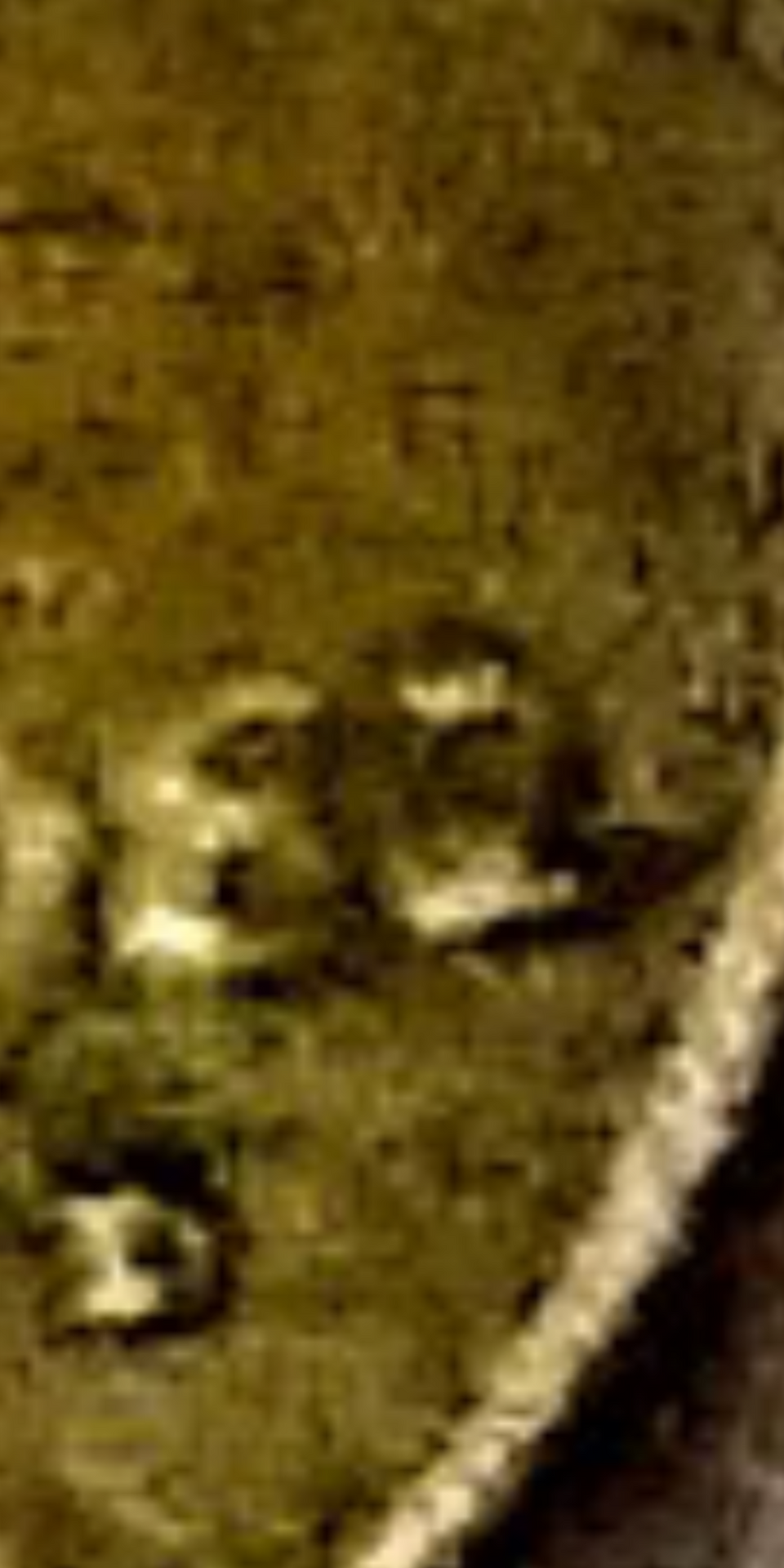 Screenshot_20210219-130133.png