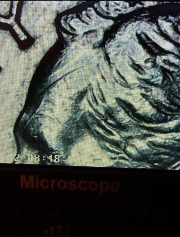 Screenshot_20220612-201651_Gallery.jpg