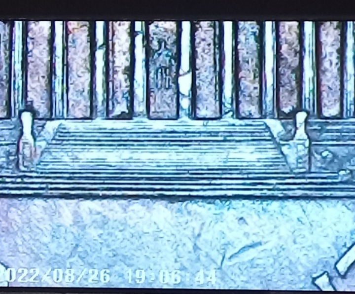 Screenshot_20220827-065807_Gallery.jpg