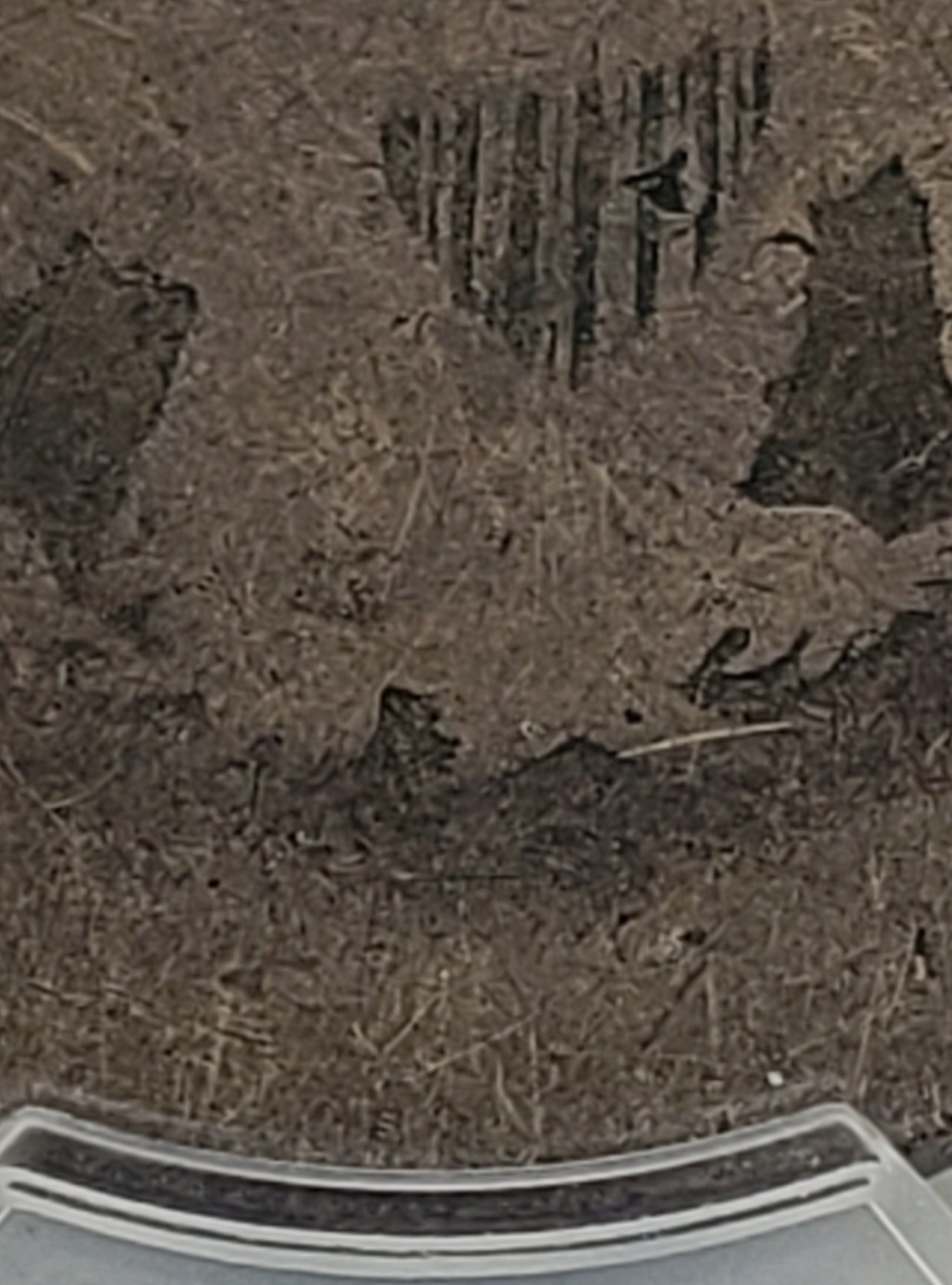 Screenshot_20230213-172705_Gallery.jpg