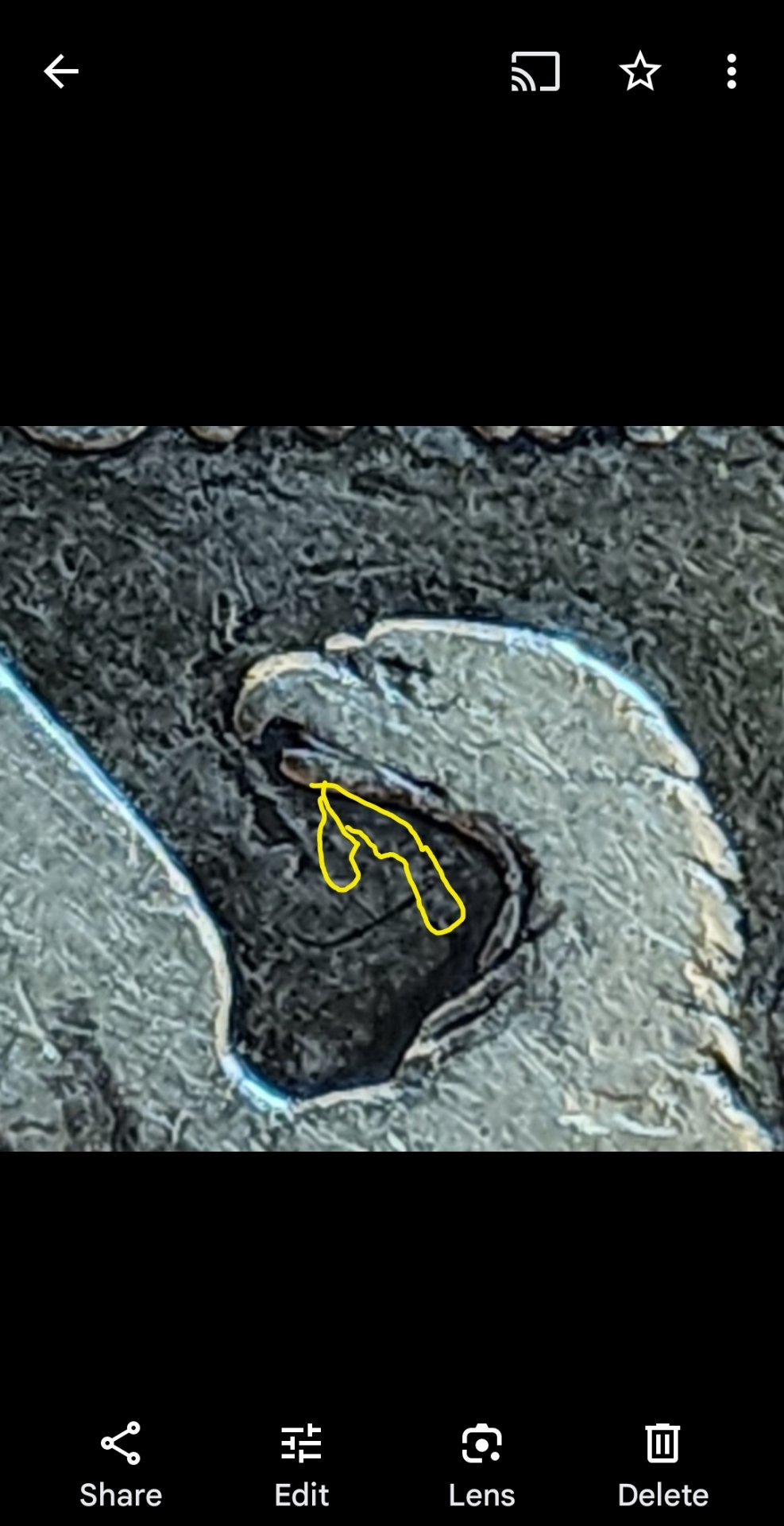 Screenshot_20240202_183903_Photos.jpg