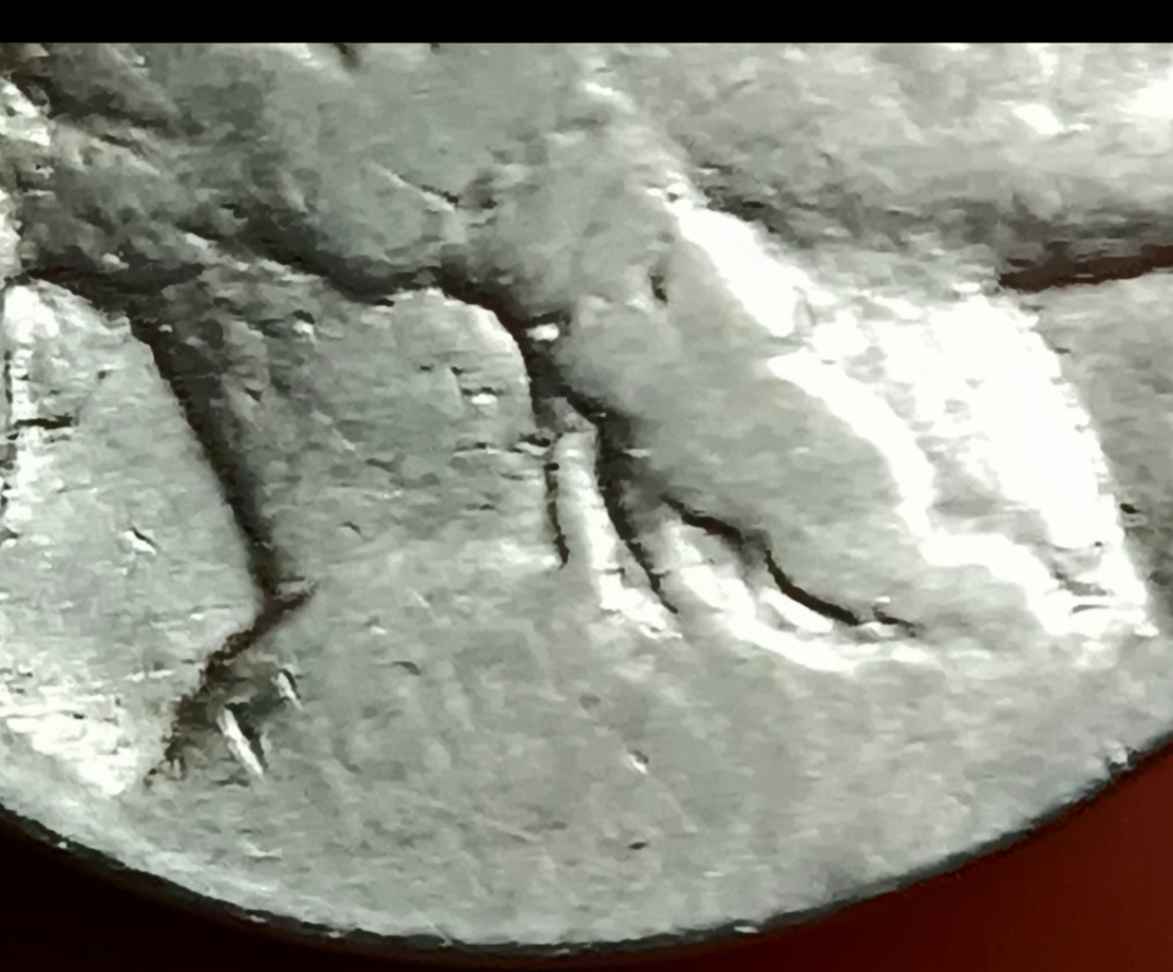 Screenshot_20240818_094540_Gallery.jpg