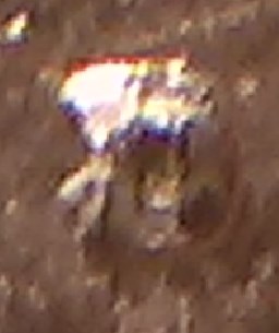 Screenshot_5.jpg
