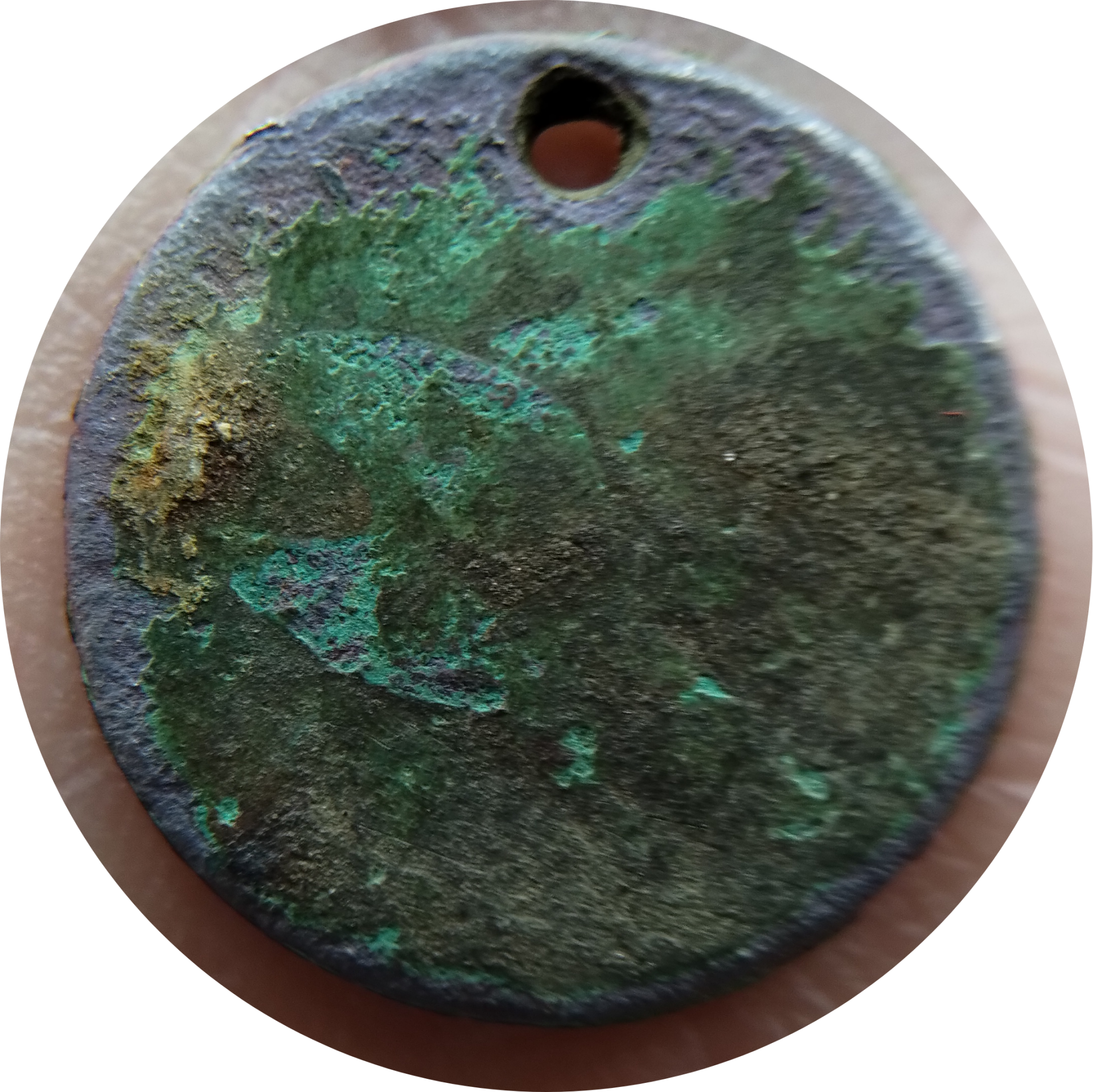 scv20240127_134222.png