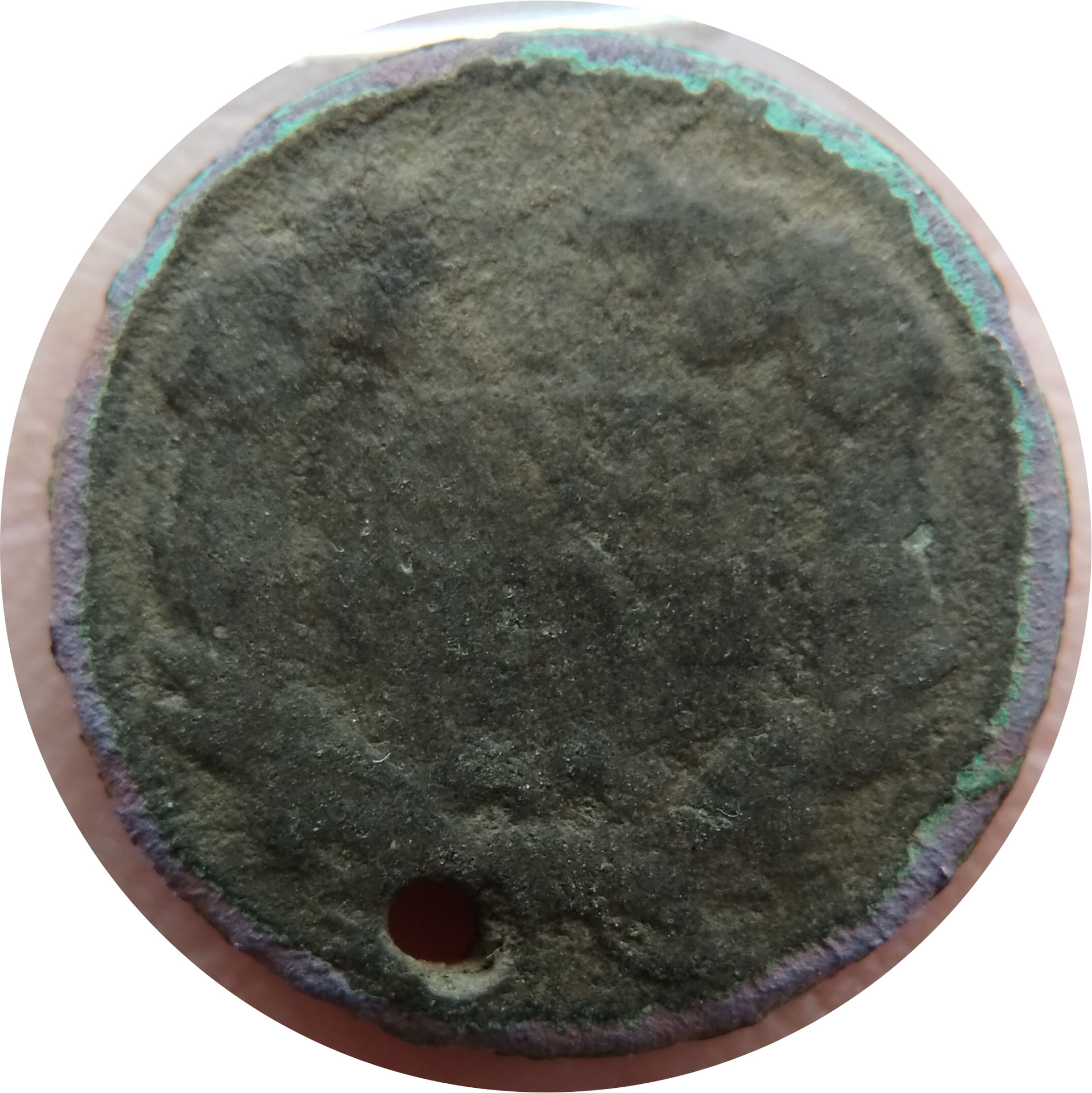 scv20240127_134406.png