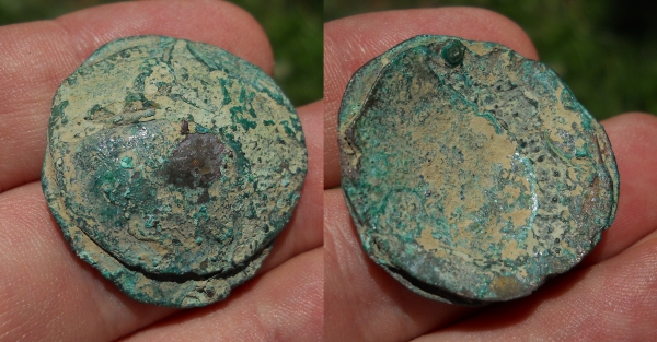 scyphate 6.jpg