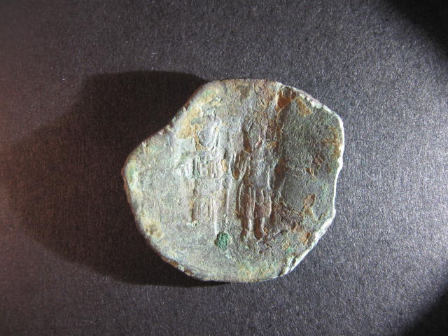 Scyphate.jpg