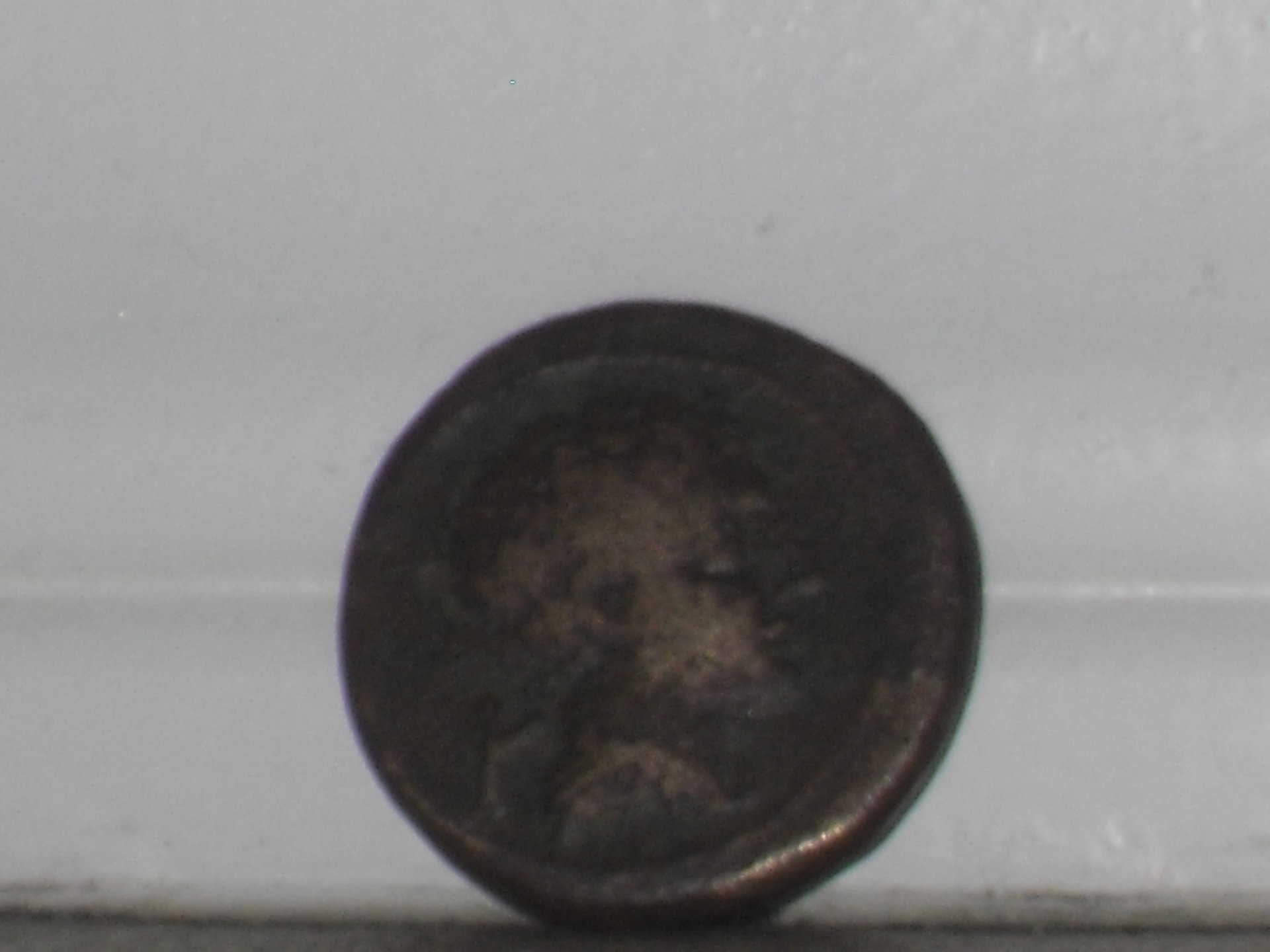 SDC10009.JPG