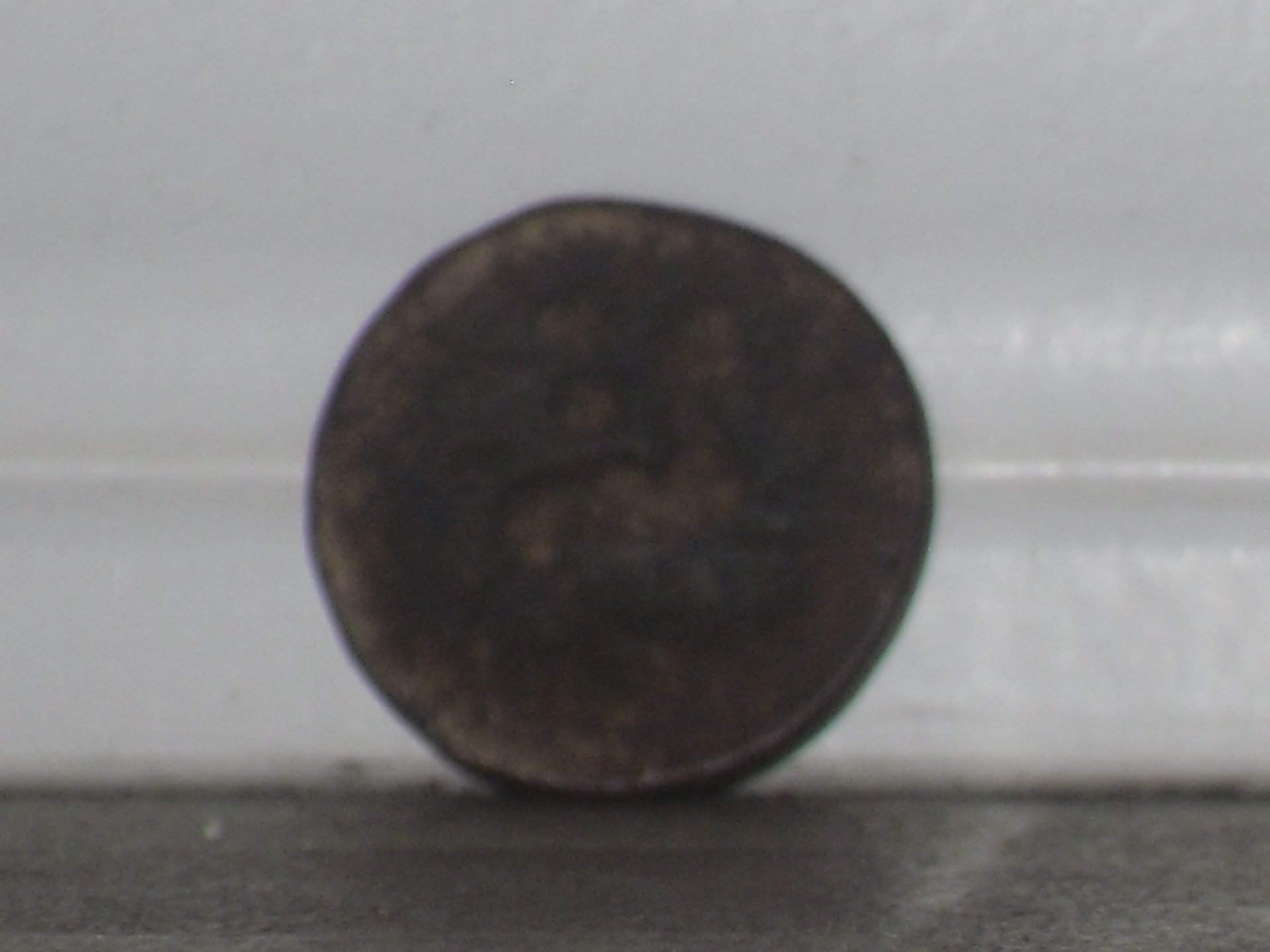 SDC10011.JPG