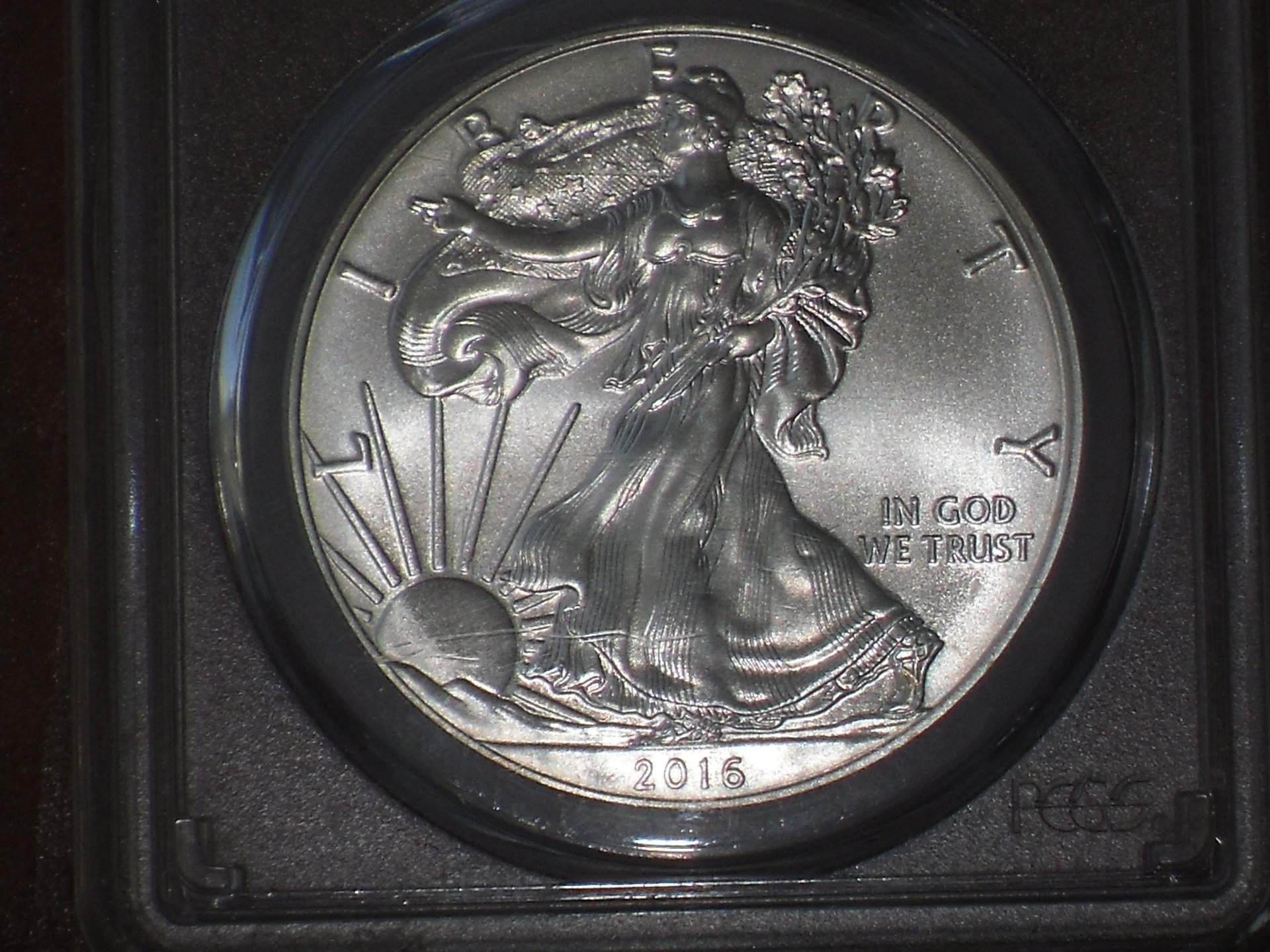 SDC10017.JPG