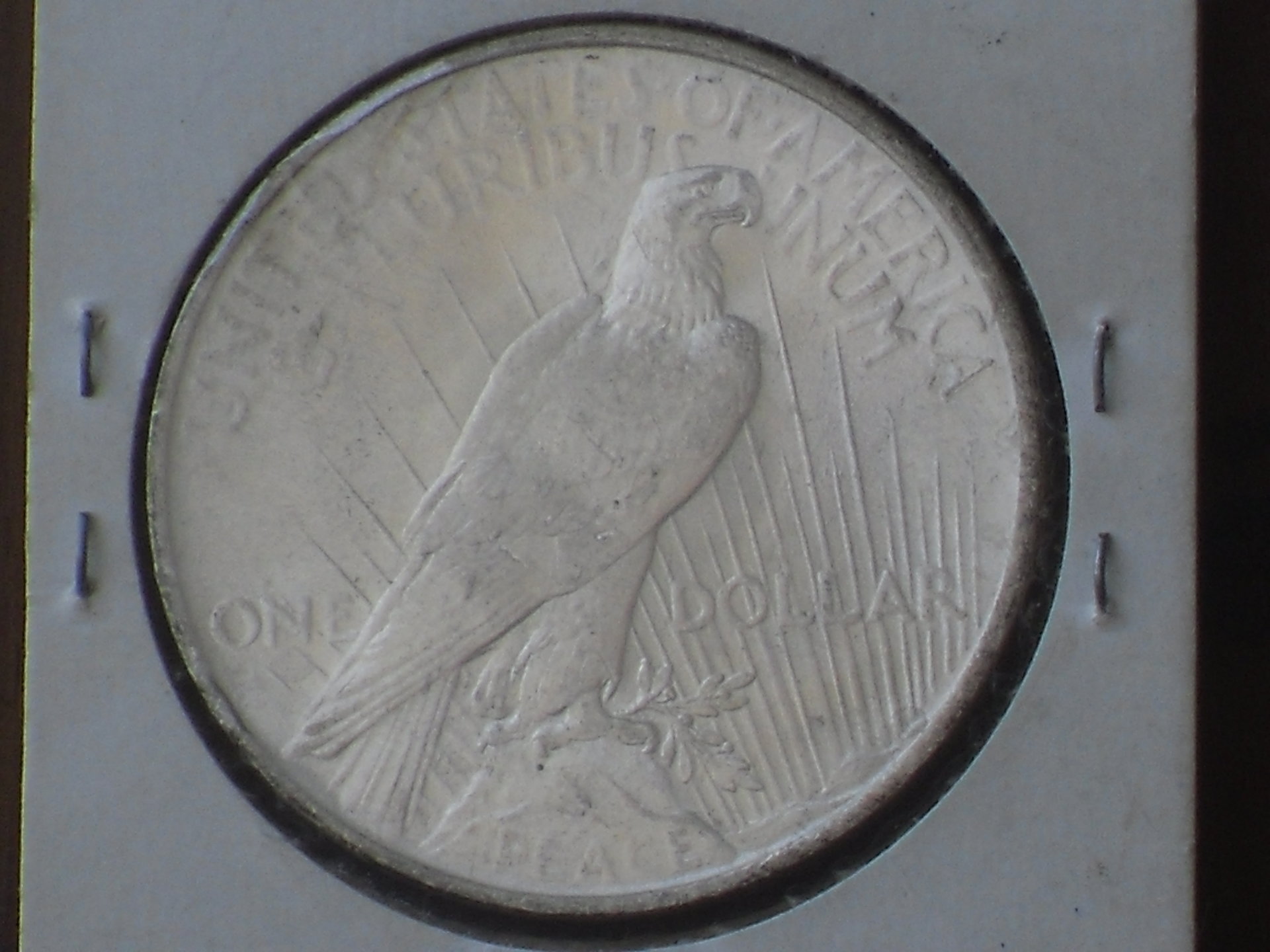 SDC10022.JPG