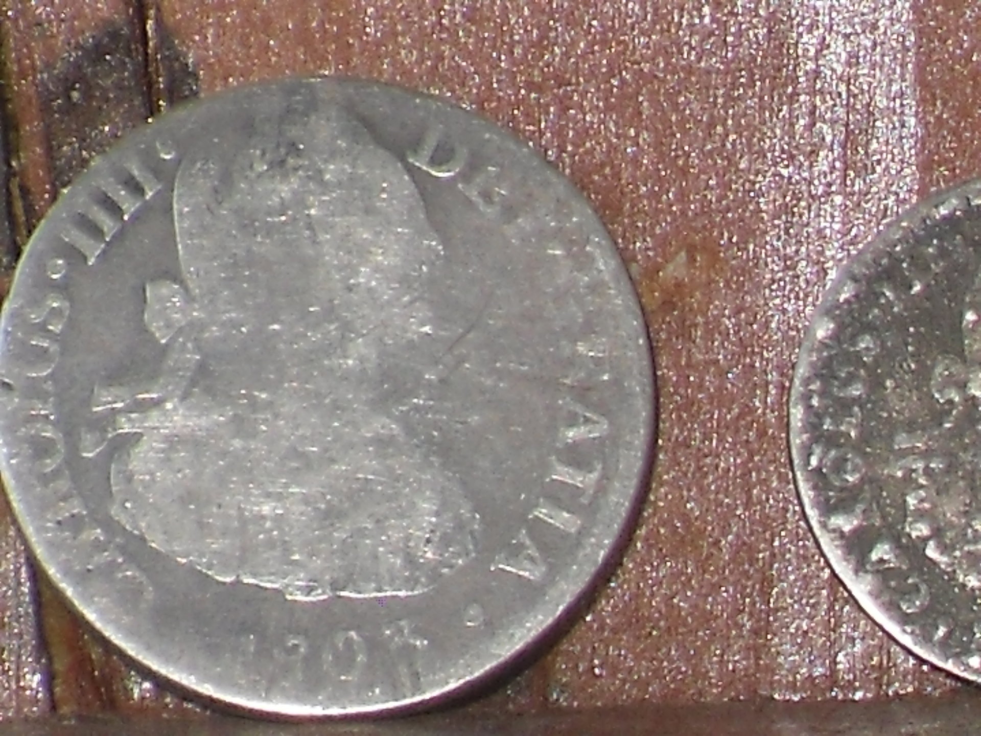 SDC10028.JPG