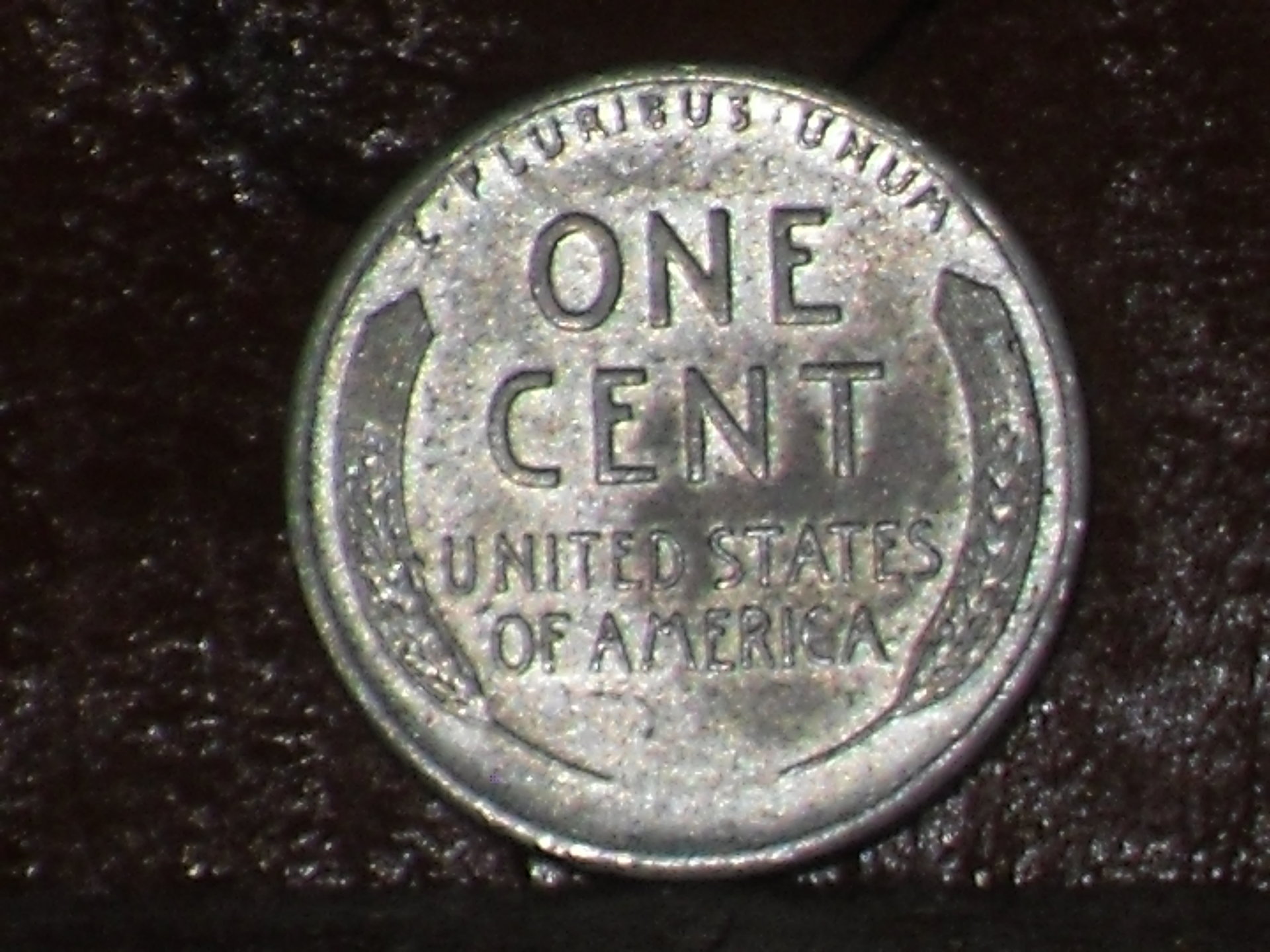 SDC10039.JPG