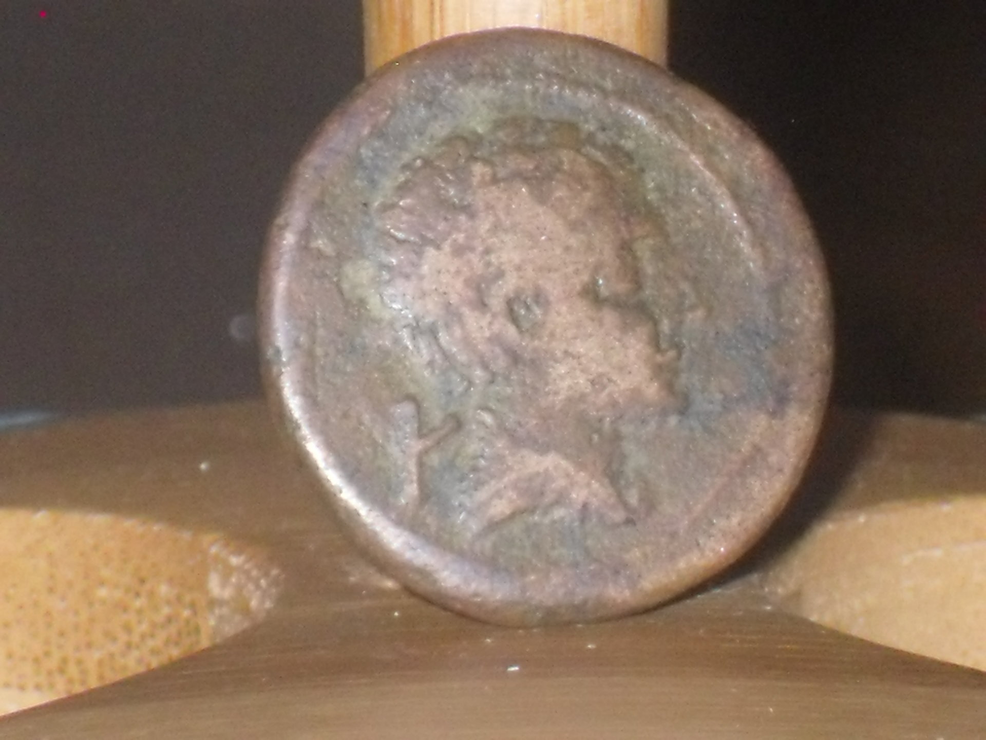 SDC10046.JPG