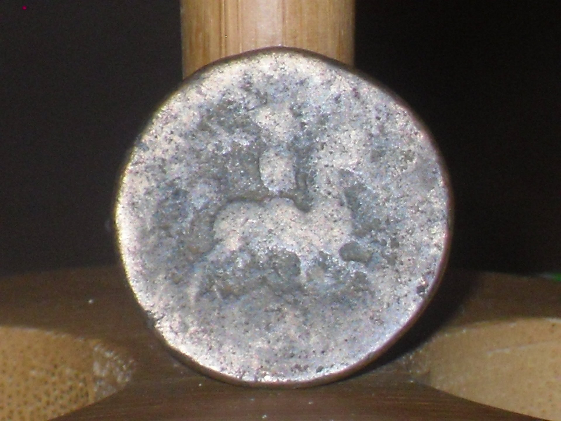 SDC10047.JPG