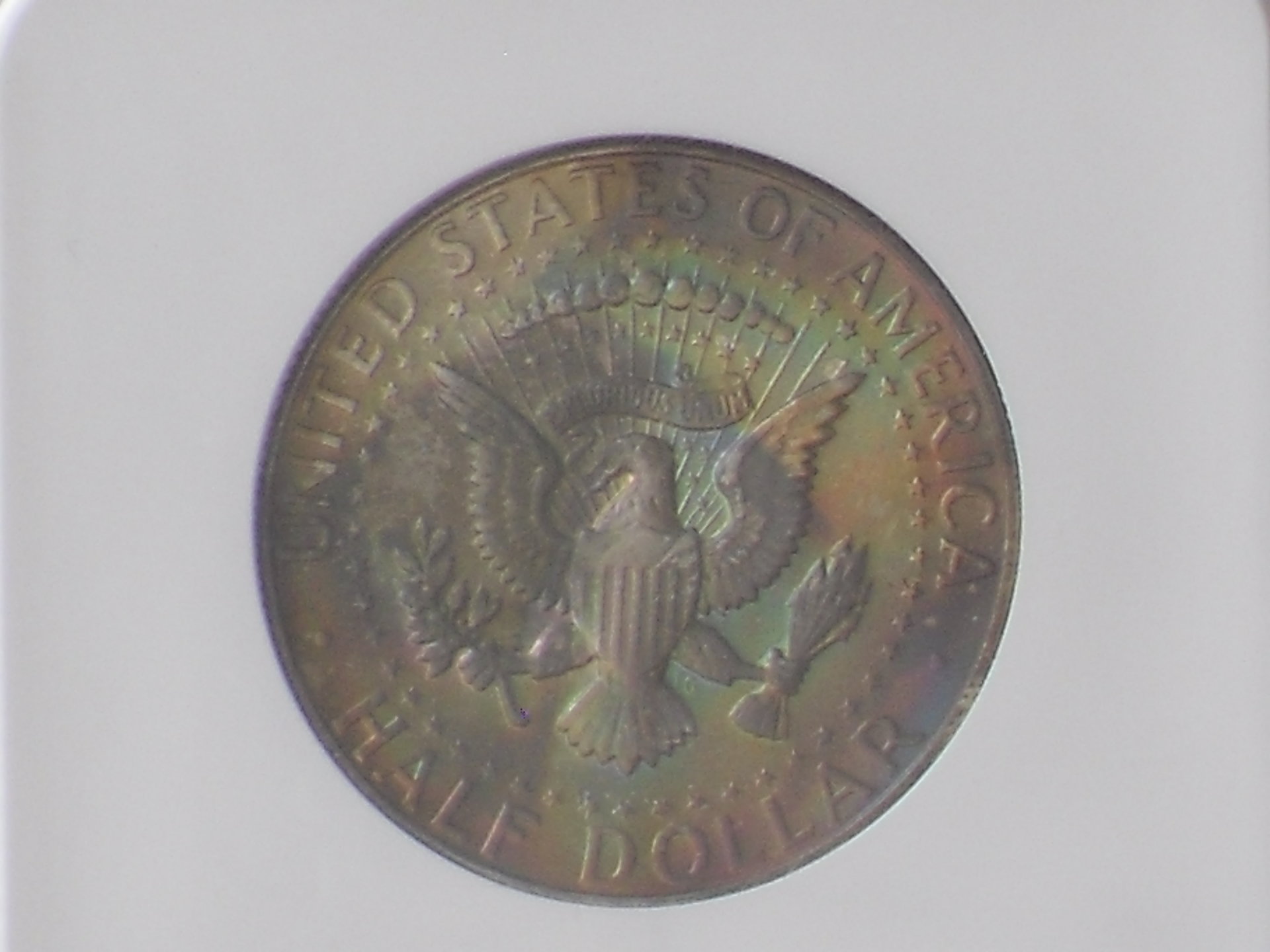 SDC10054.JPG