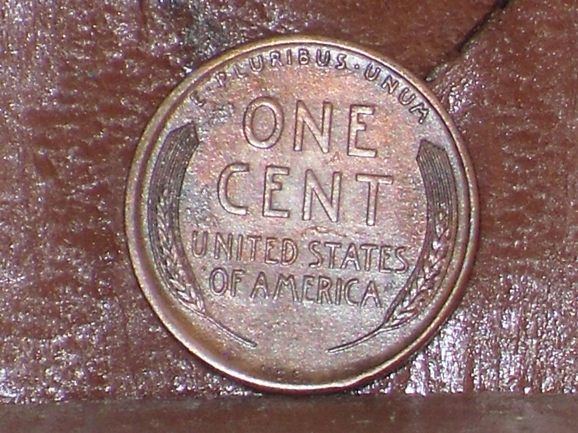 SDC10145.JPG