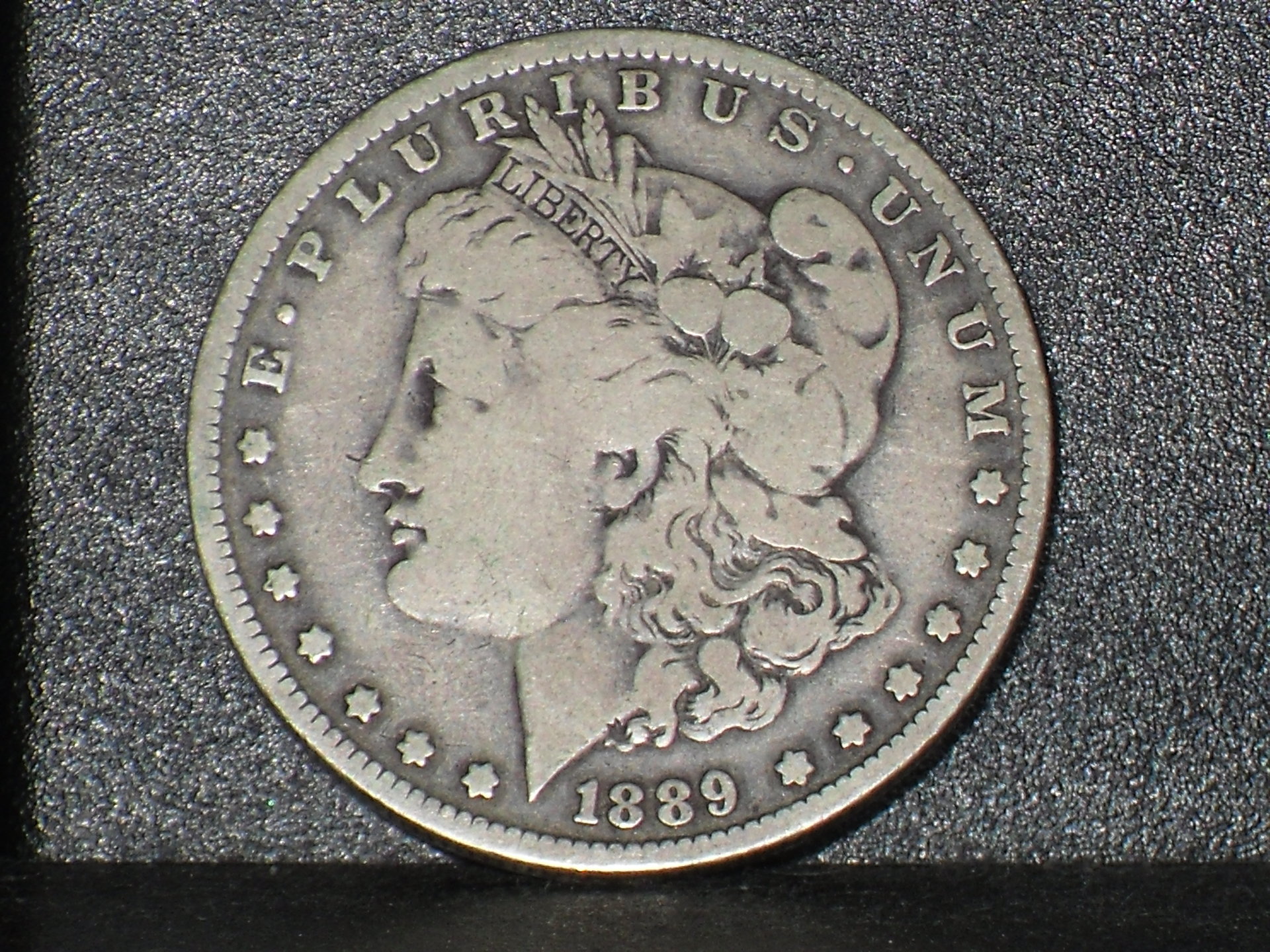 SDC10348.JPG