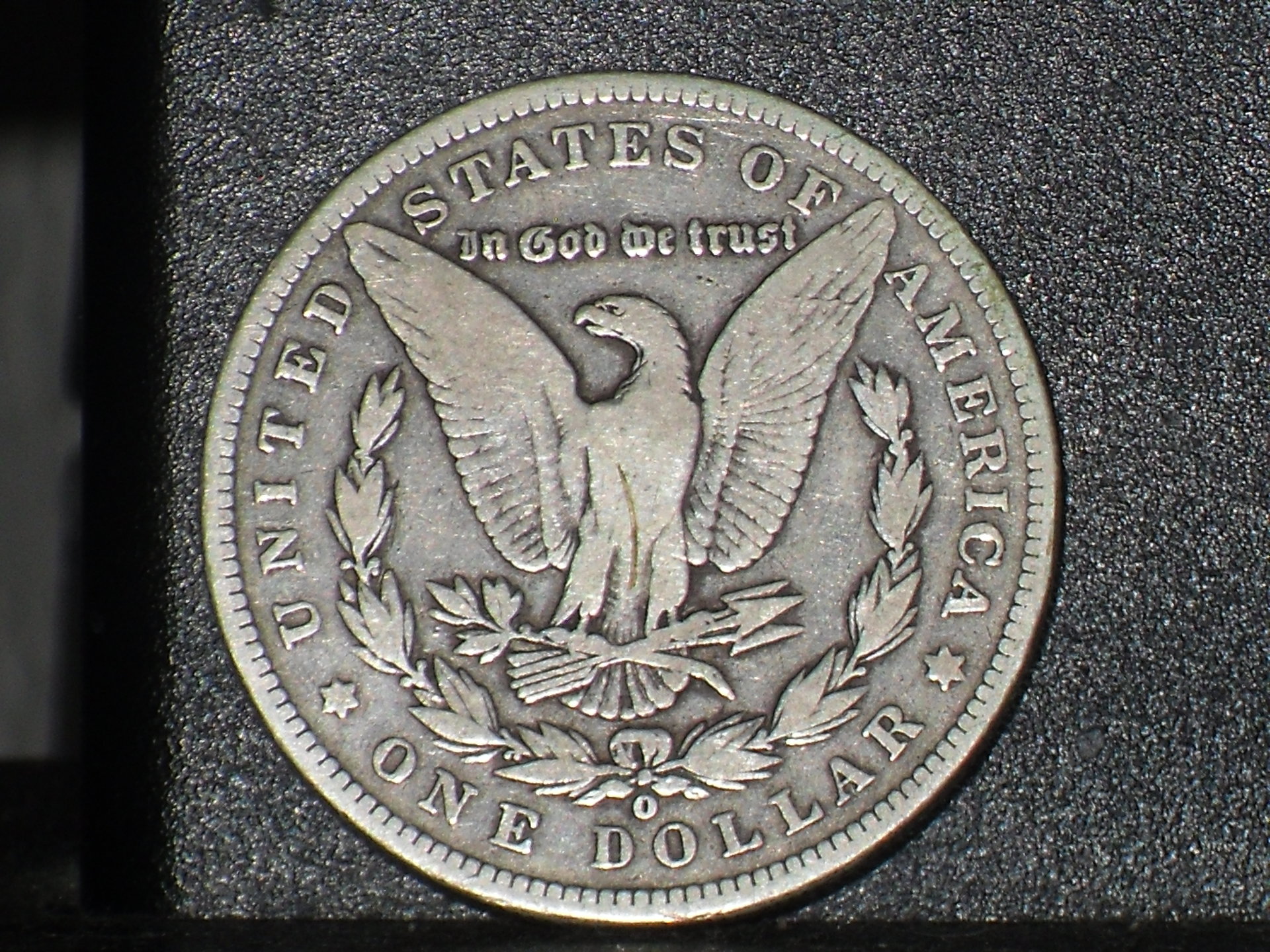 SDC10349.JPG