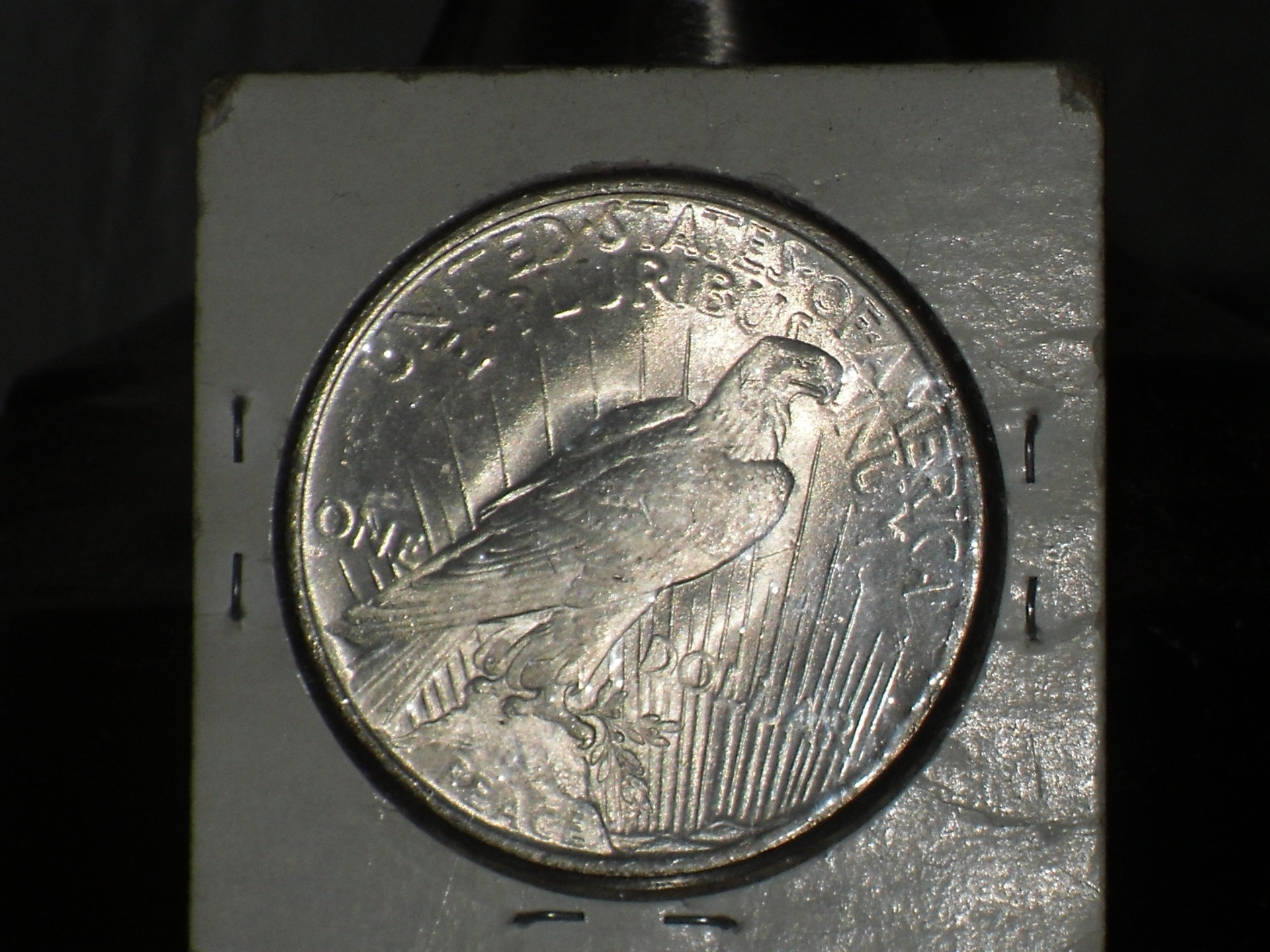 SDC10640.JPG