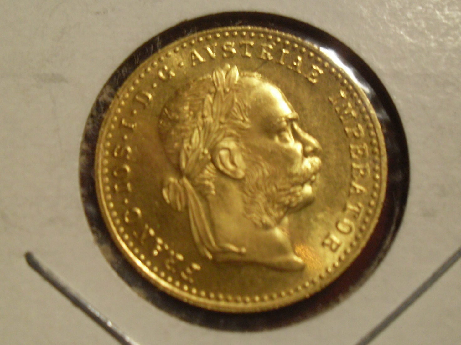 SDC13851.JPG
