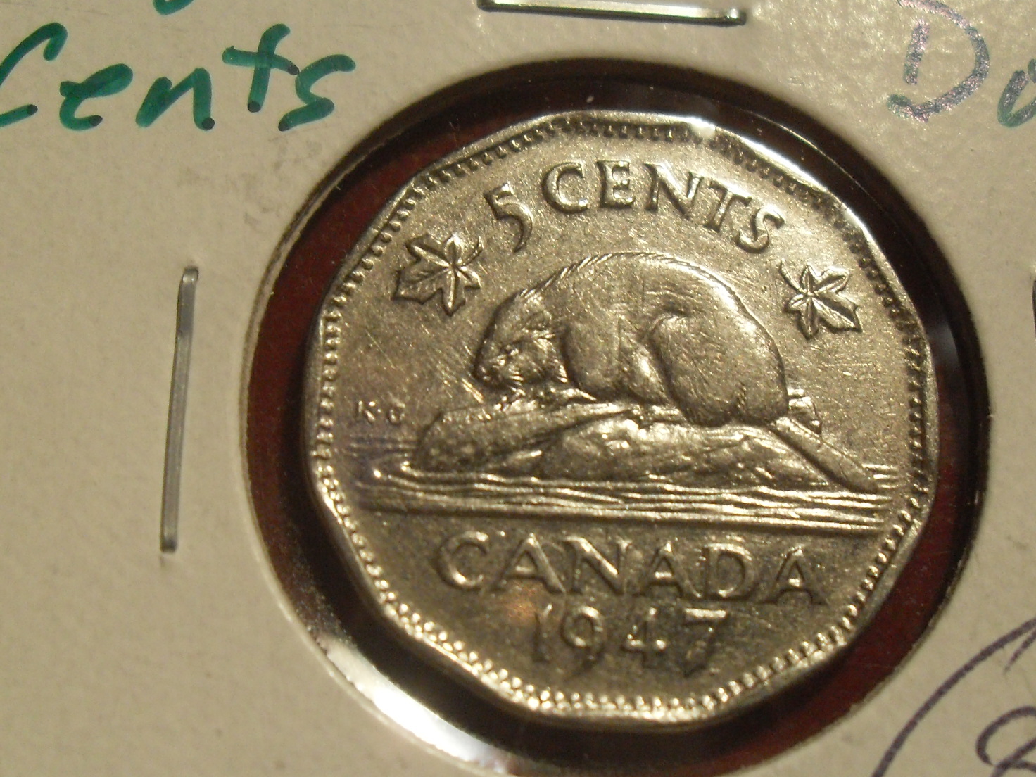 SDC13860.JPG