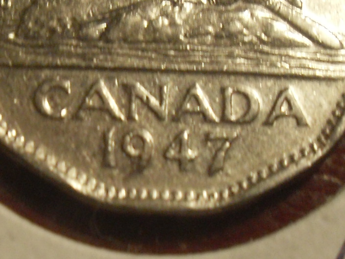 SDC13864.JPG
