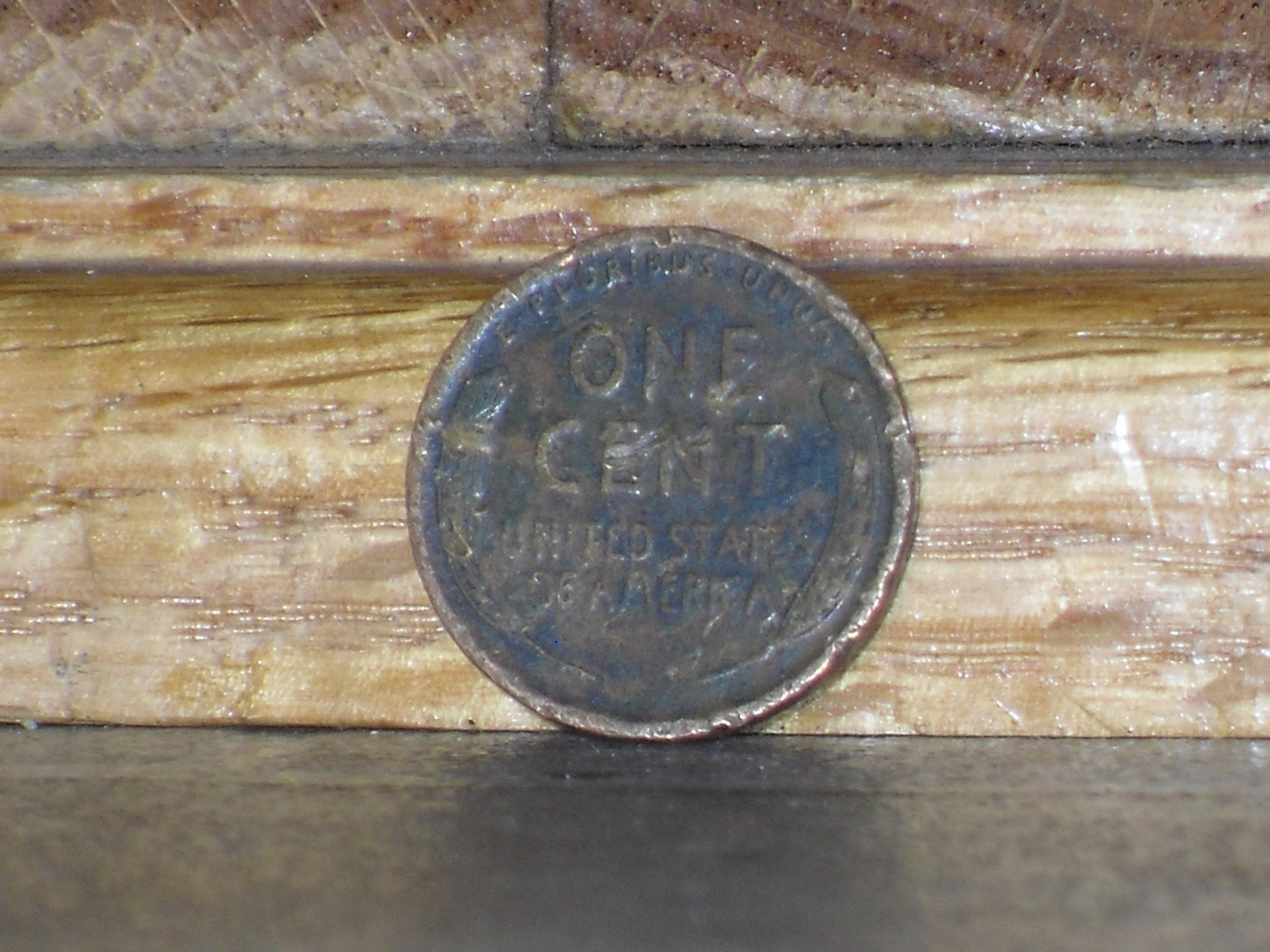 SDC19069.JPG