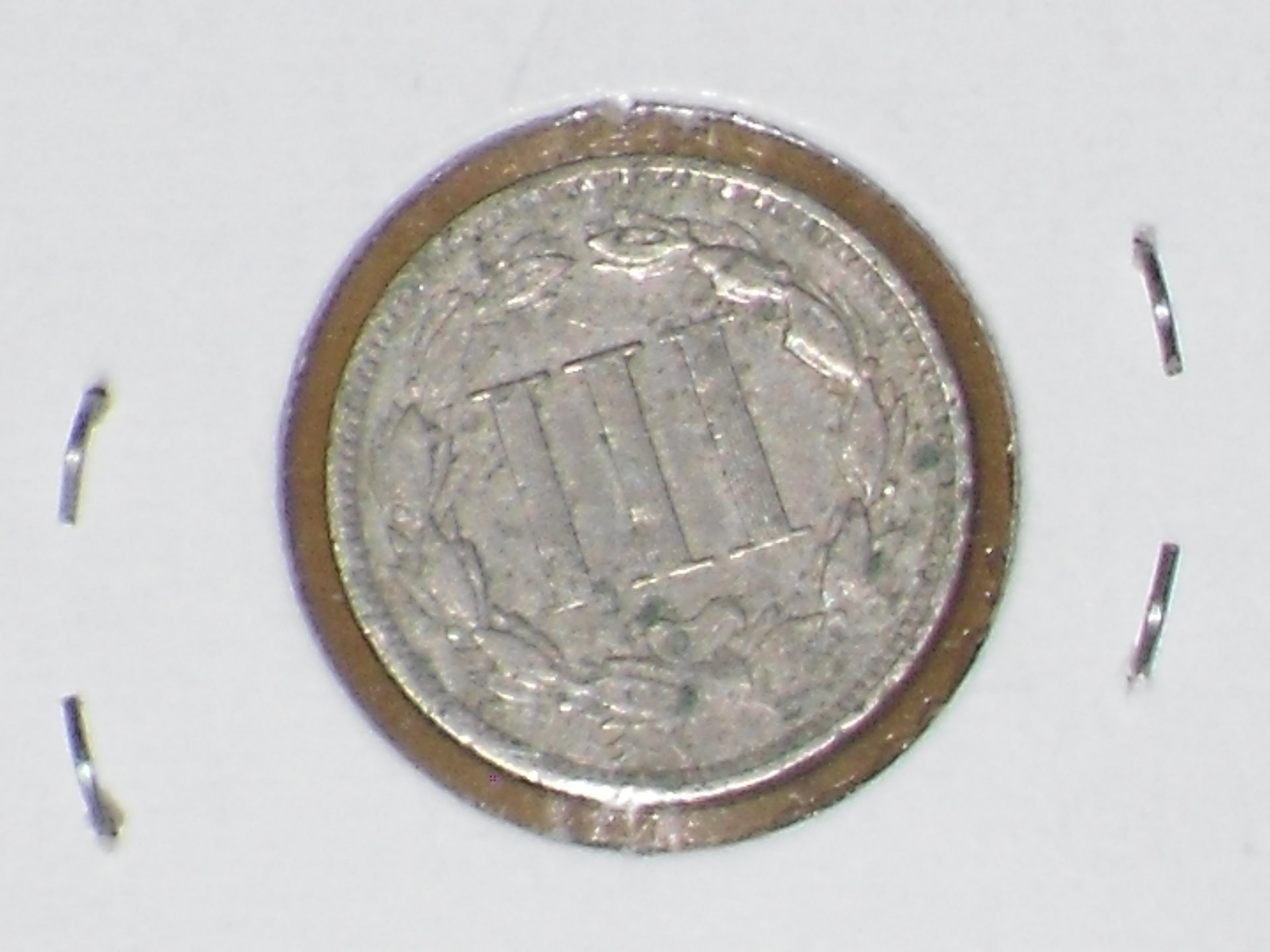 SDC19279.JPG