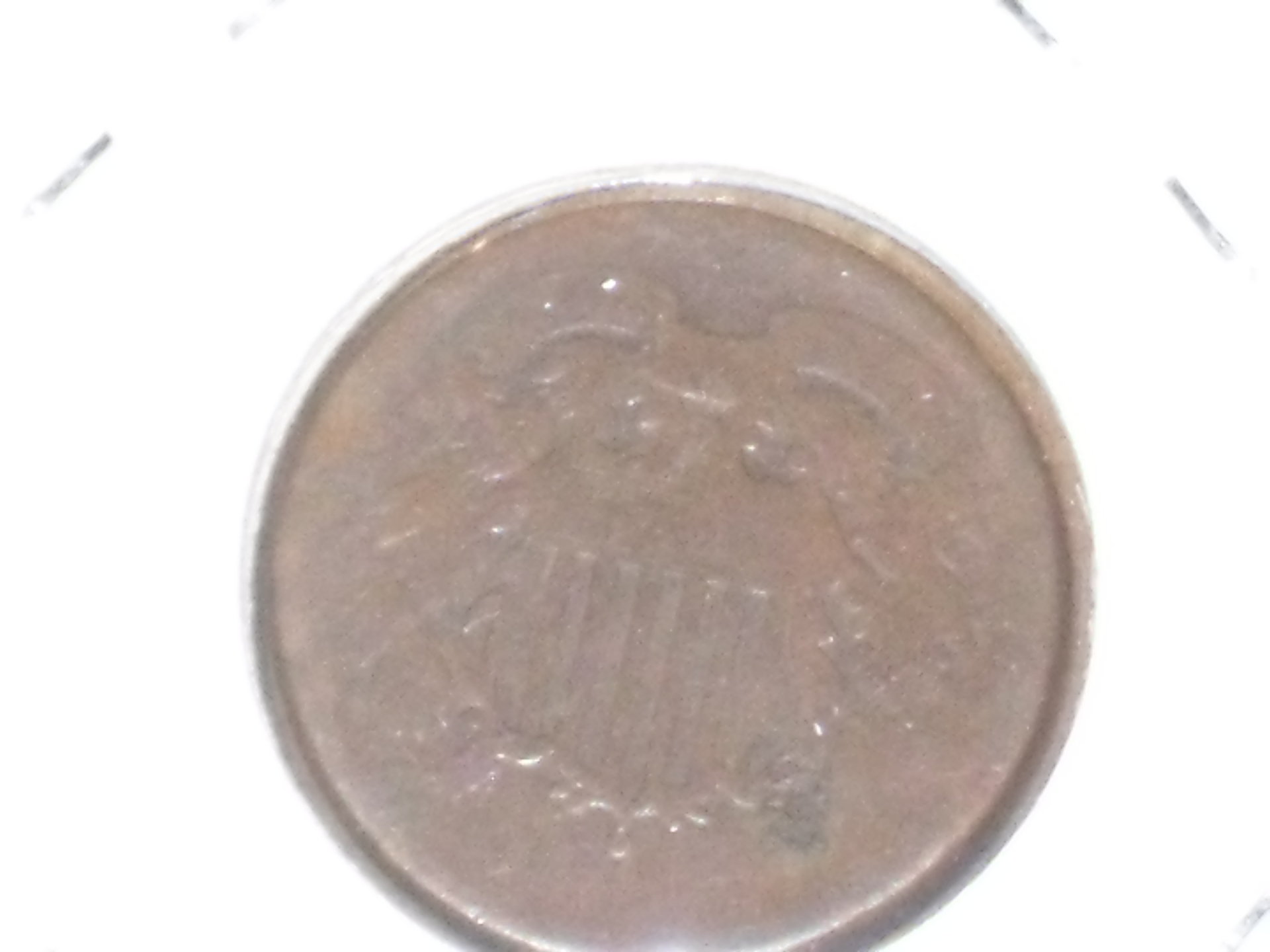 SDC19281.JPG