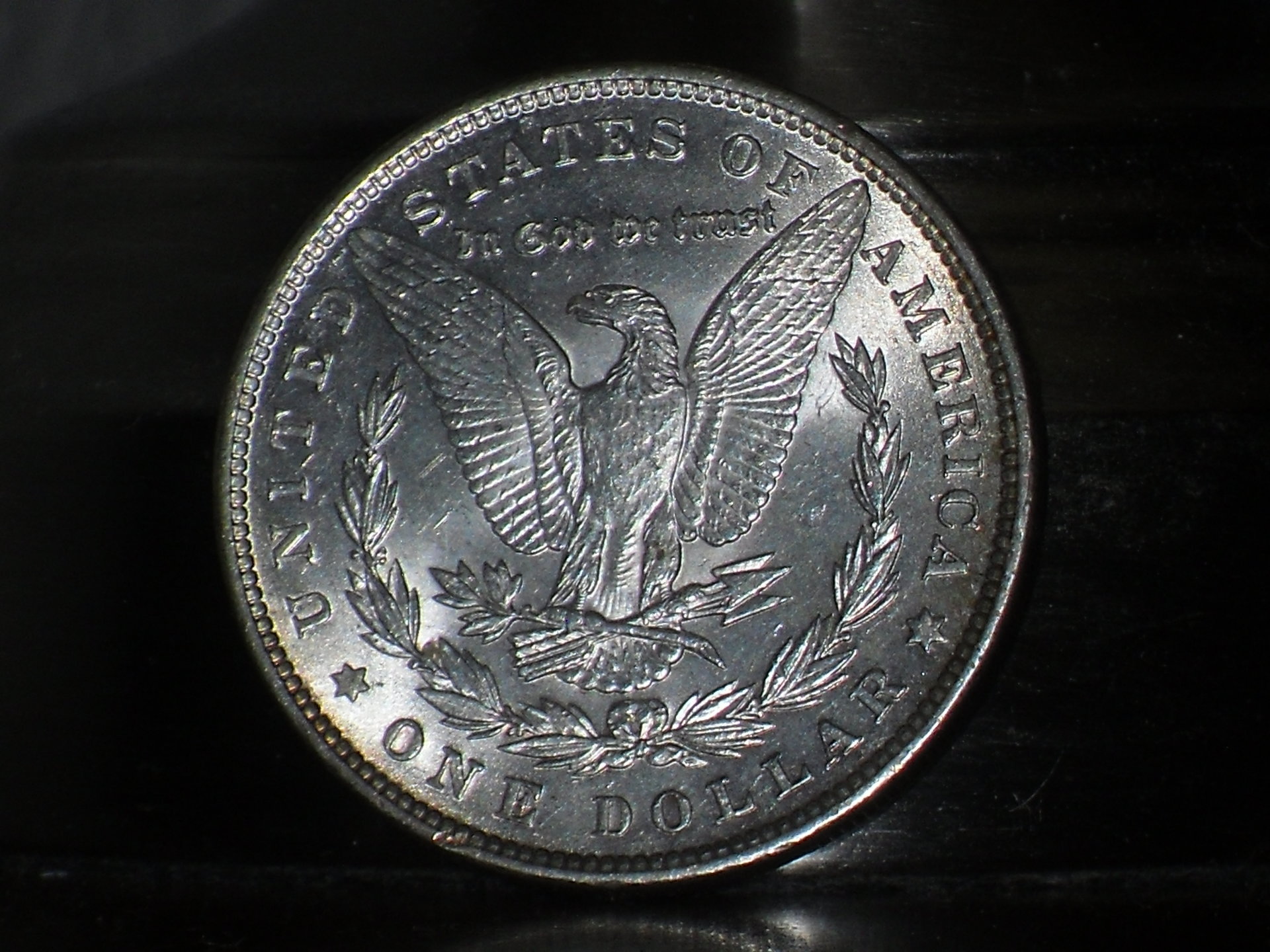 SDC19296.JPG