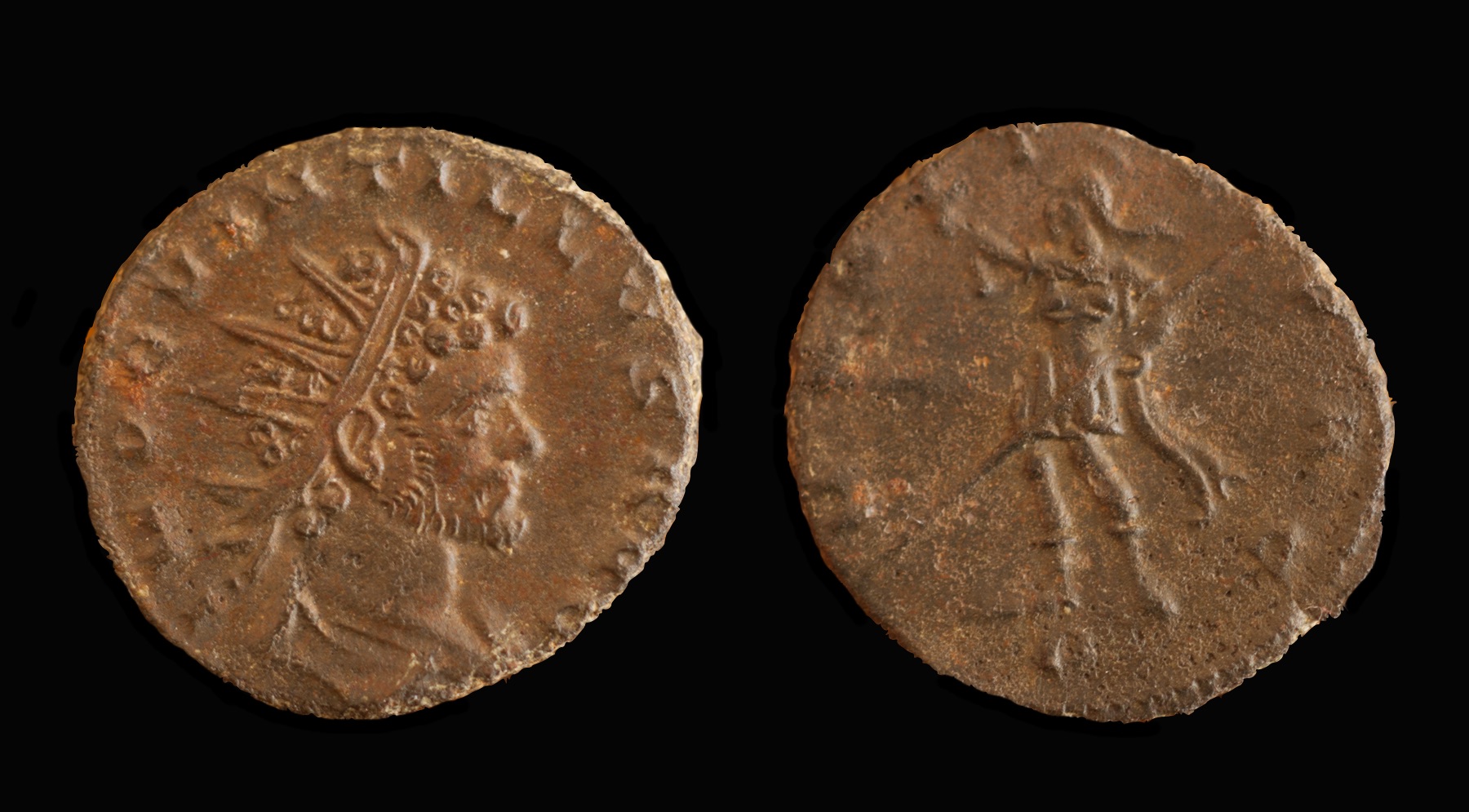 Seaar 11447 Quintillus.jpg