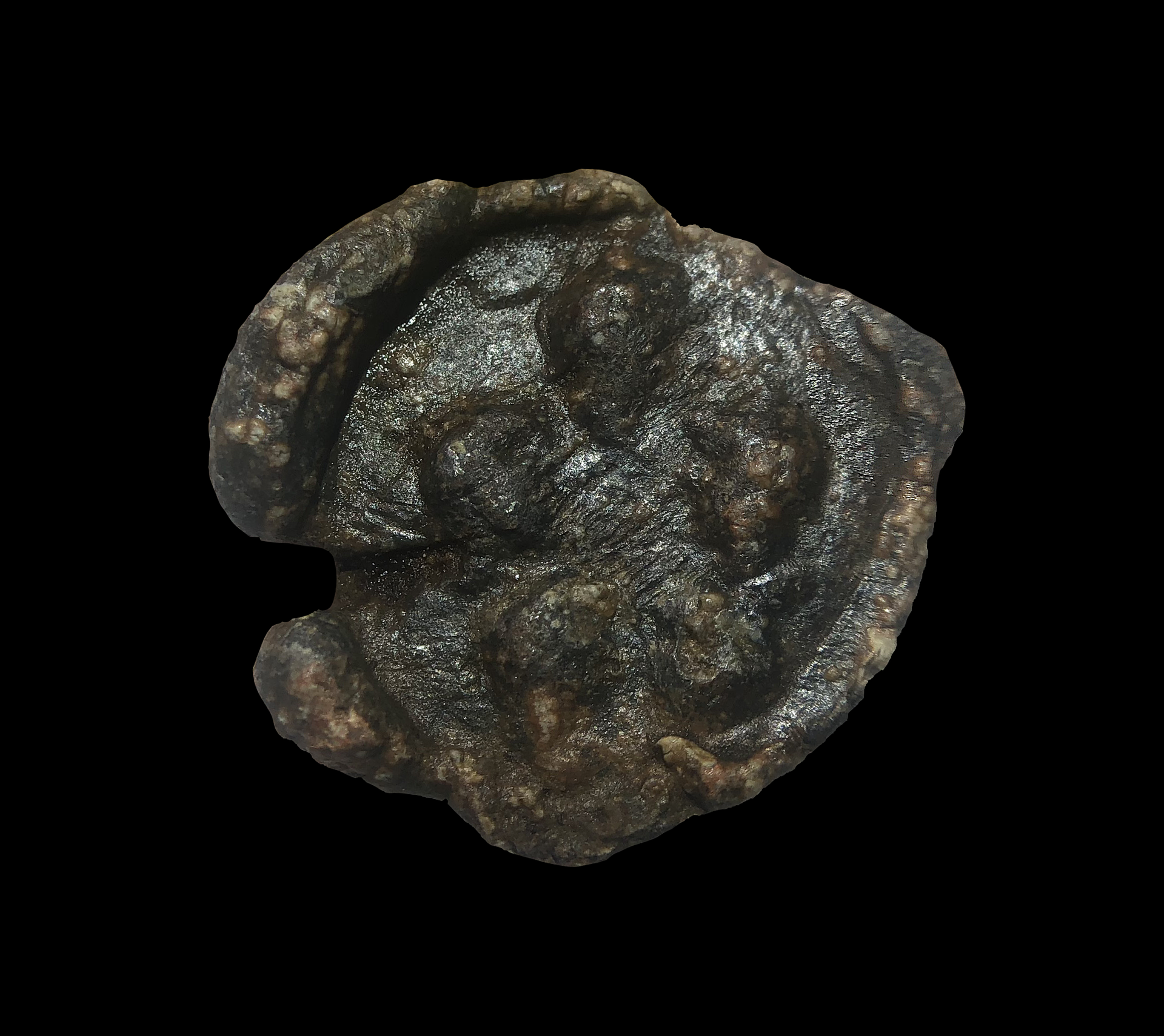 Seal.png