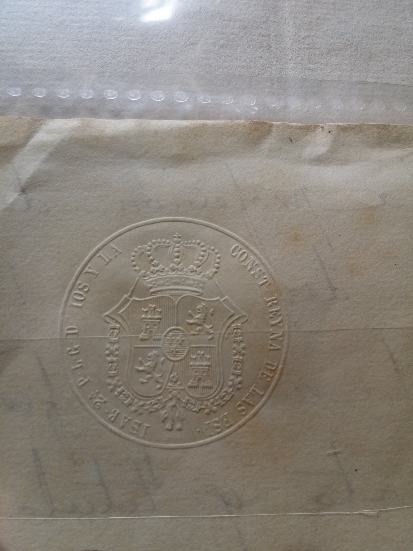 seal1.jpg
