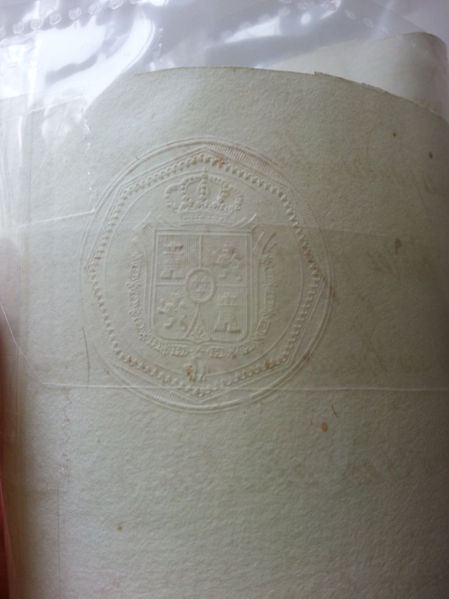 seal1.jpg