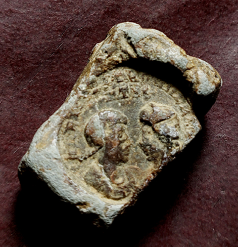 Seal2.jpg