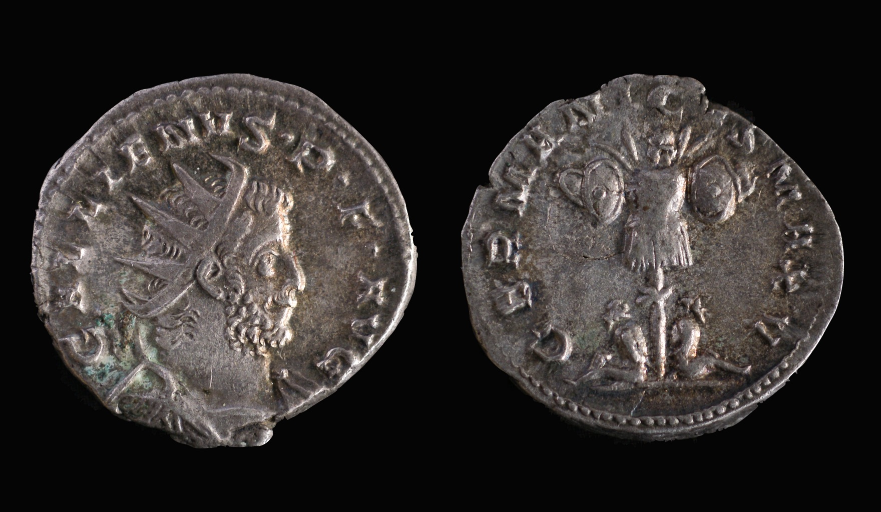 Sear 10224 Gallienus.jpg