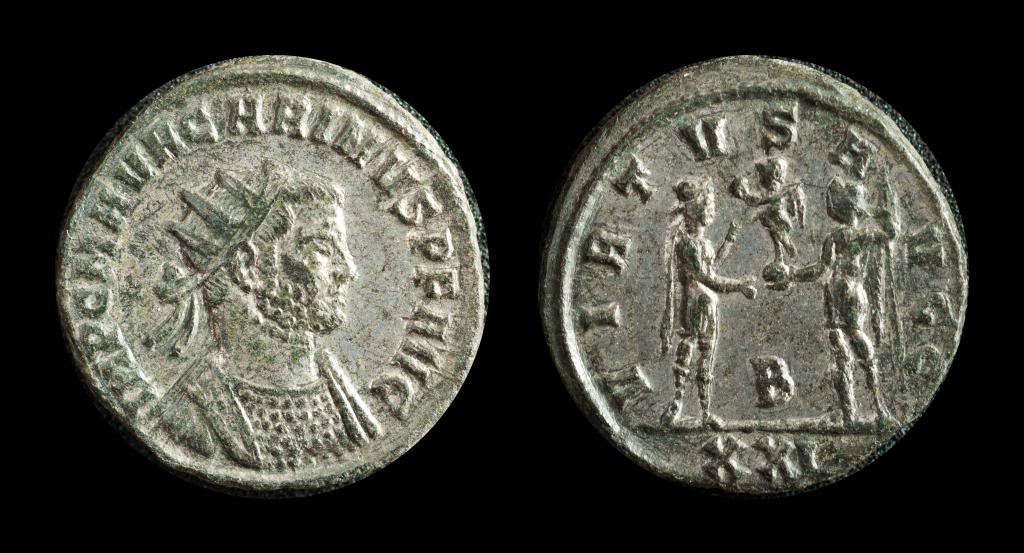 Sear 12362 Carinus.JPG