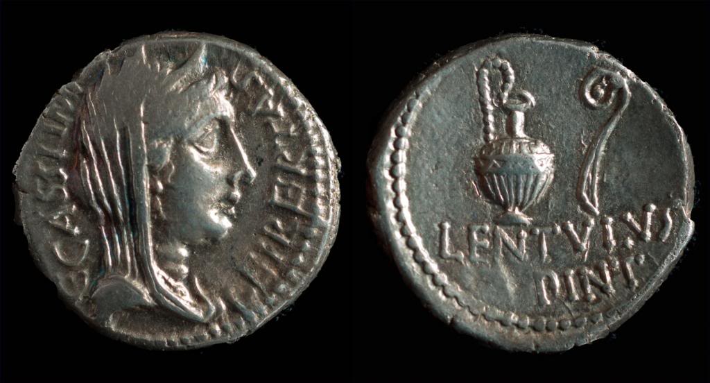Sear 1447 Cassius.JPG