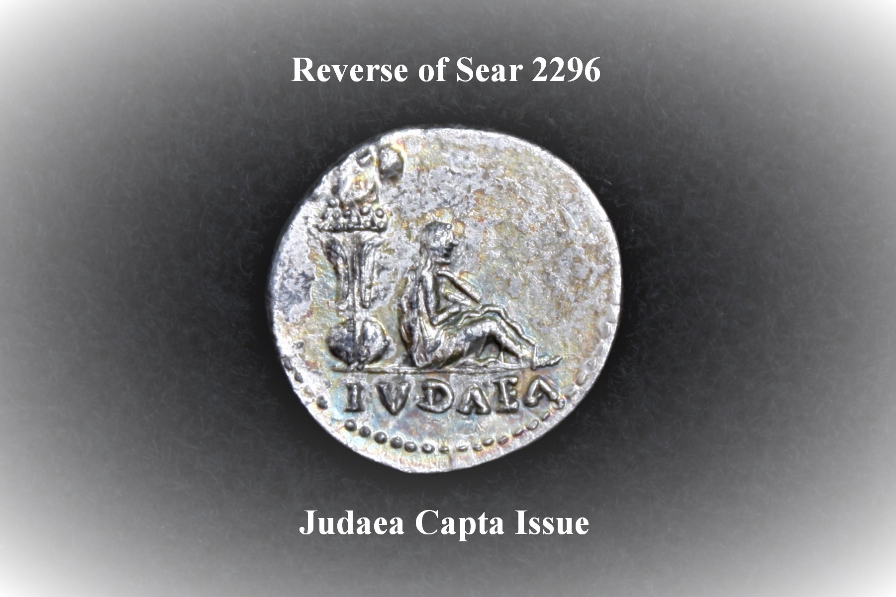Sear 2296, rev..JPG