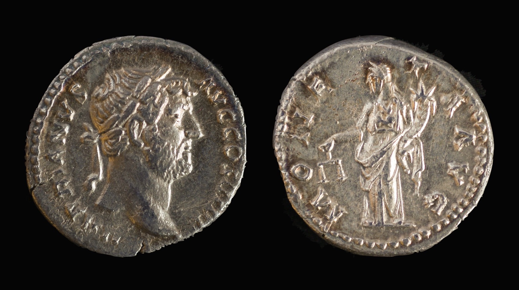 Sear 3507 Hadrian.jpg