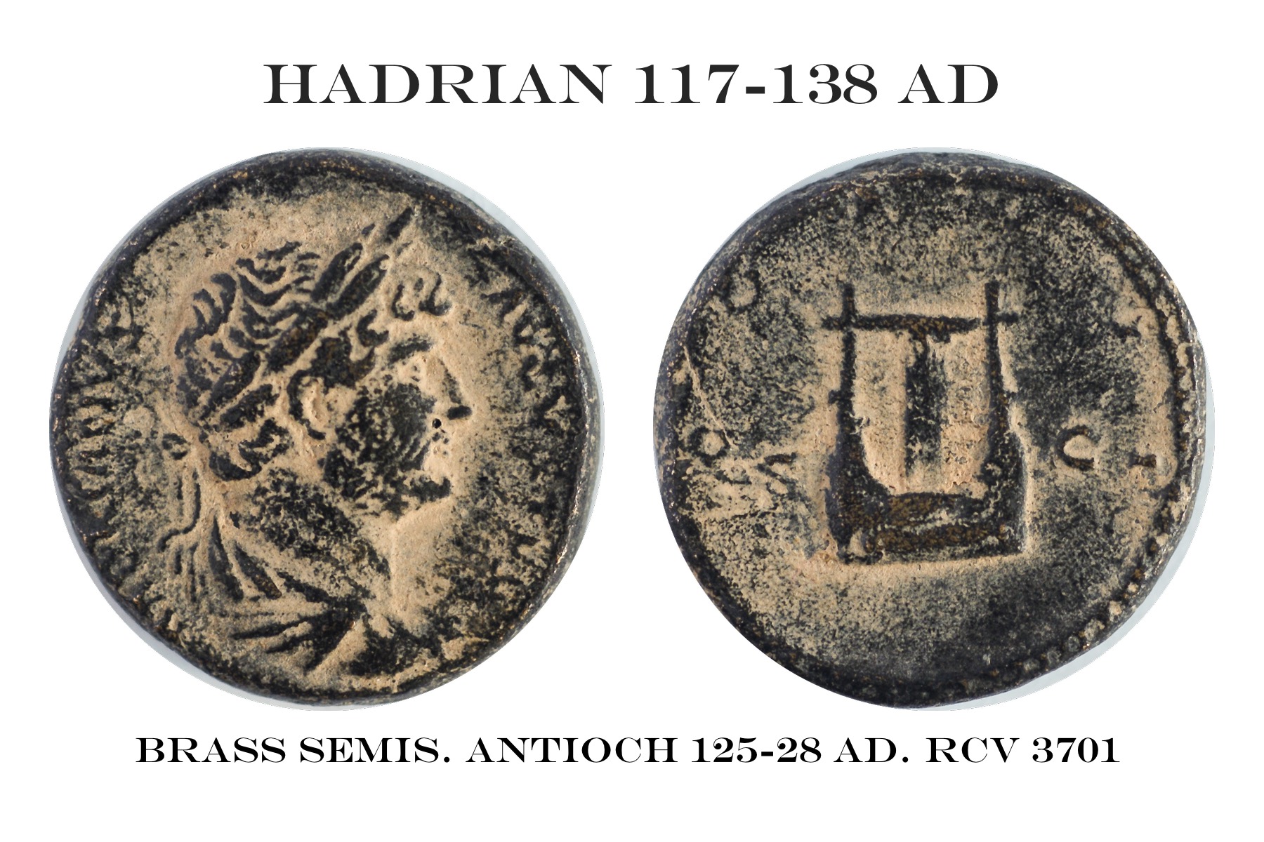 Sear 3701 Hadrian.jpg